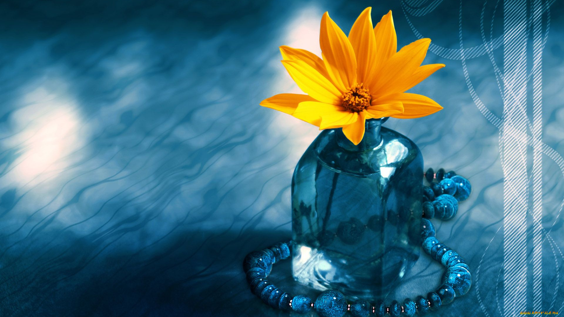 цветы, рудбекия