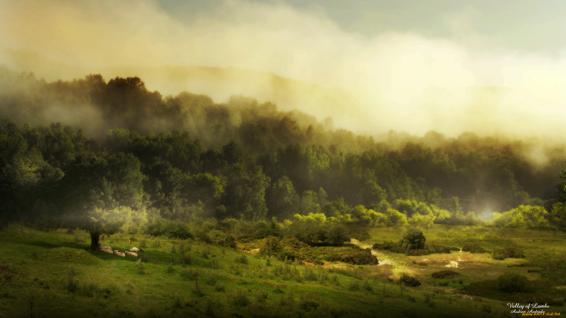 природа, пейзажи