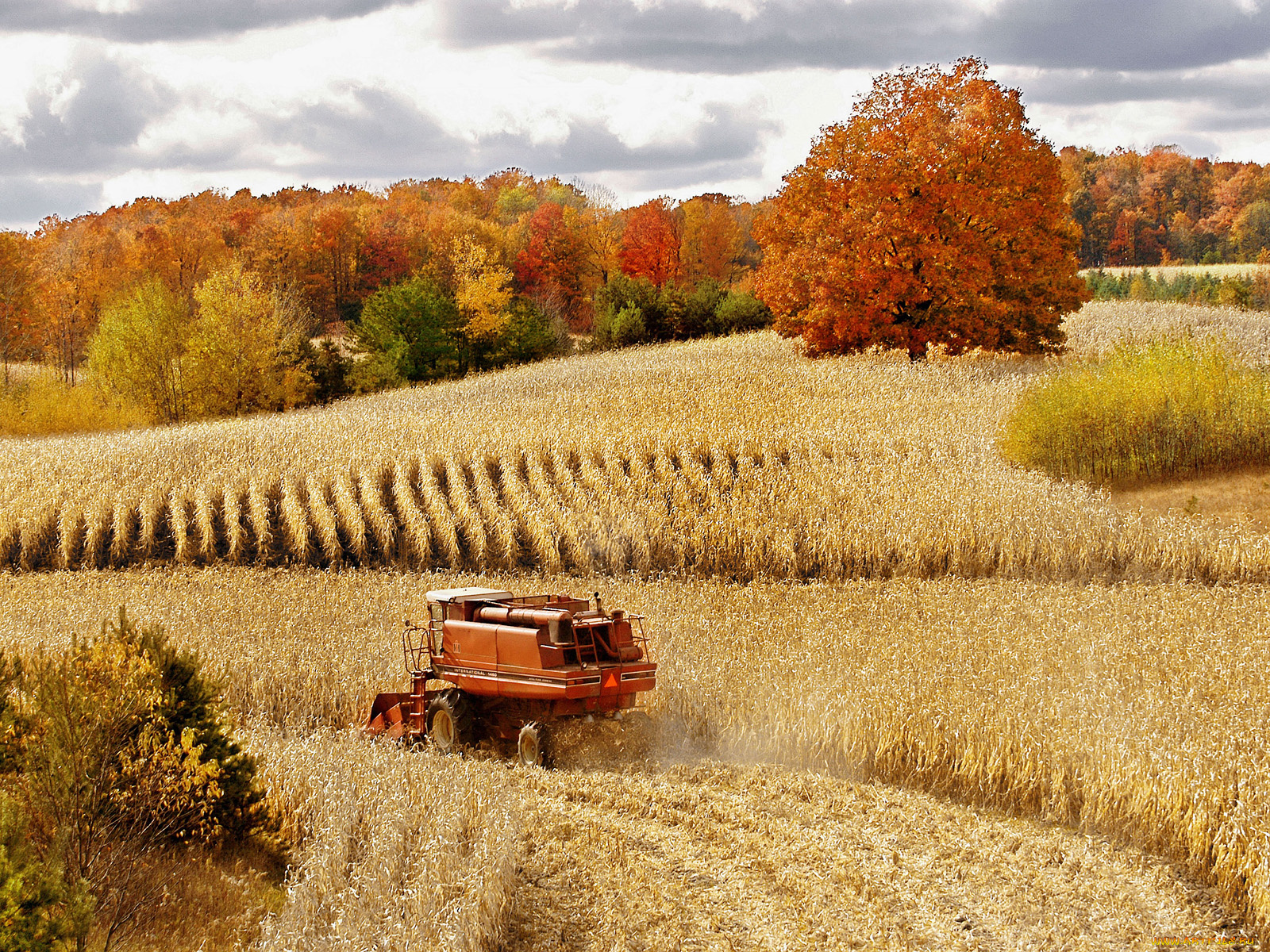 техника, комбайны