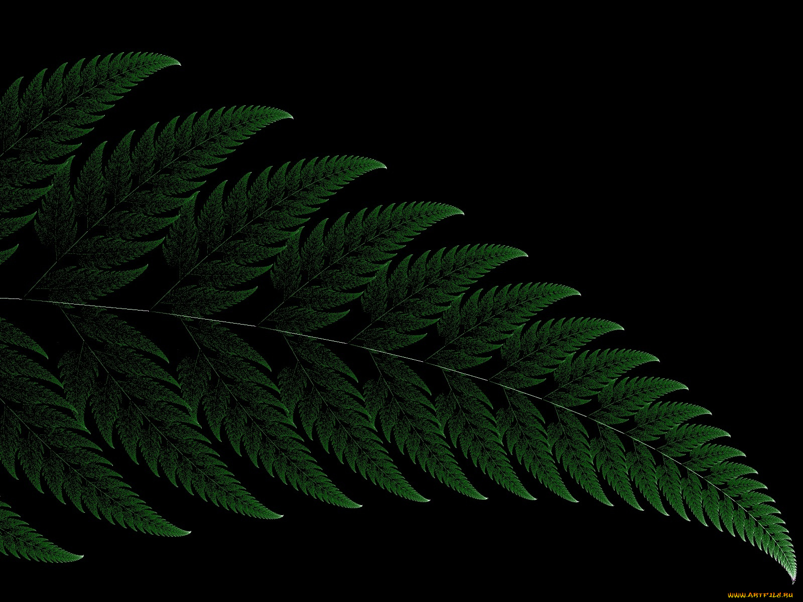 3д, графика, fractal, фракталы, узор, фрактал