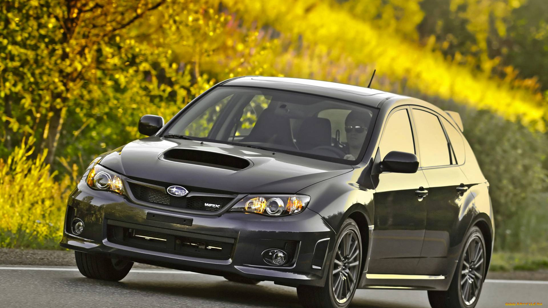 автомобили, subaru