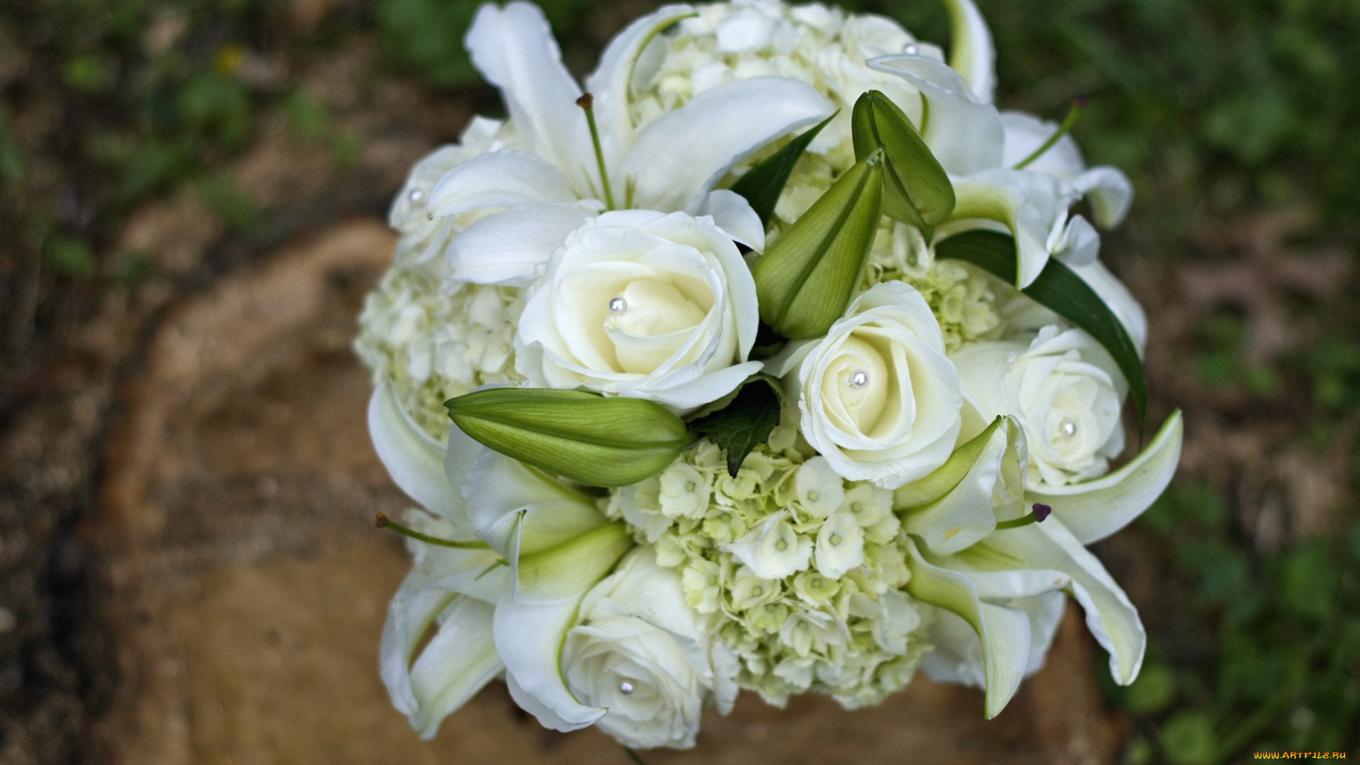 цветы, букеты, композиции, гортензия, лилии, розы