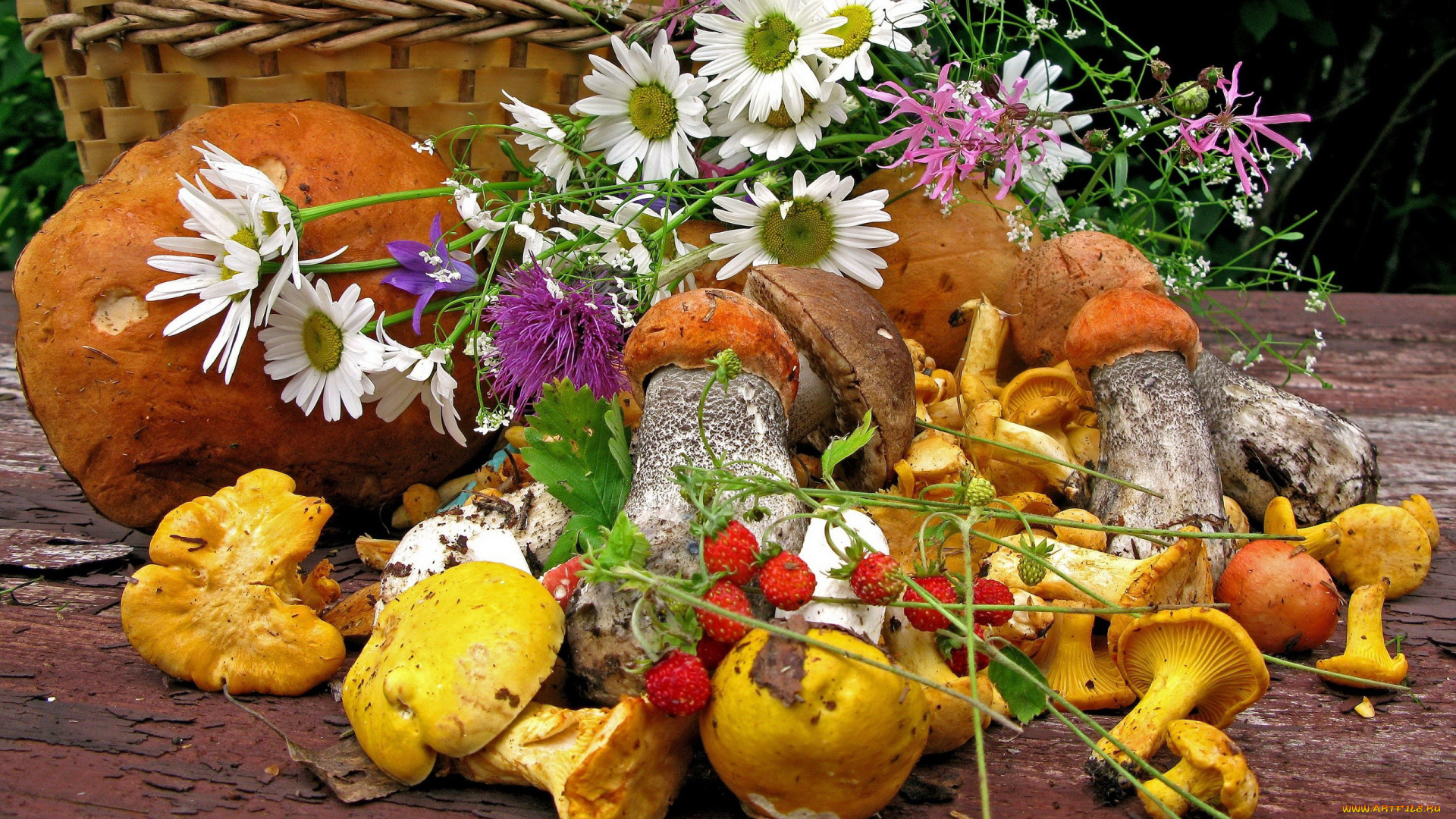 еда, грибы, грибные, блюда, лисички, подосиновики, ромашки