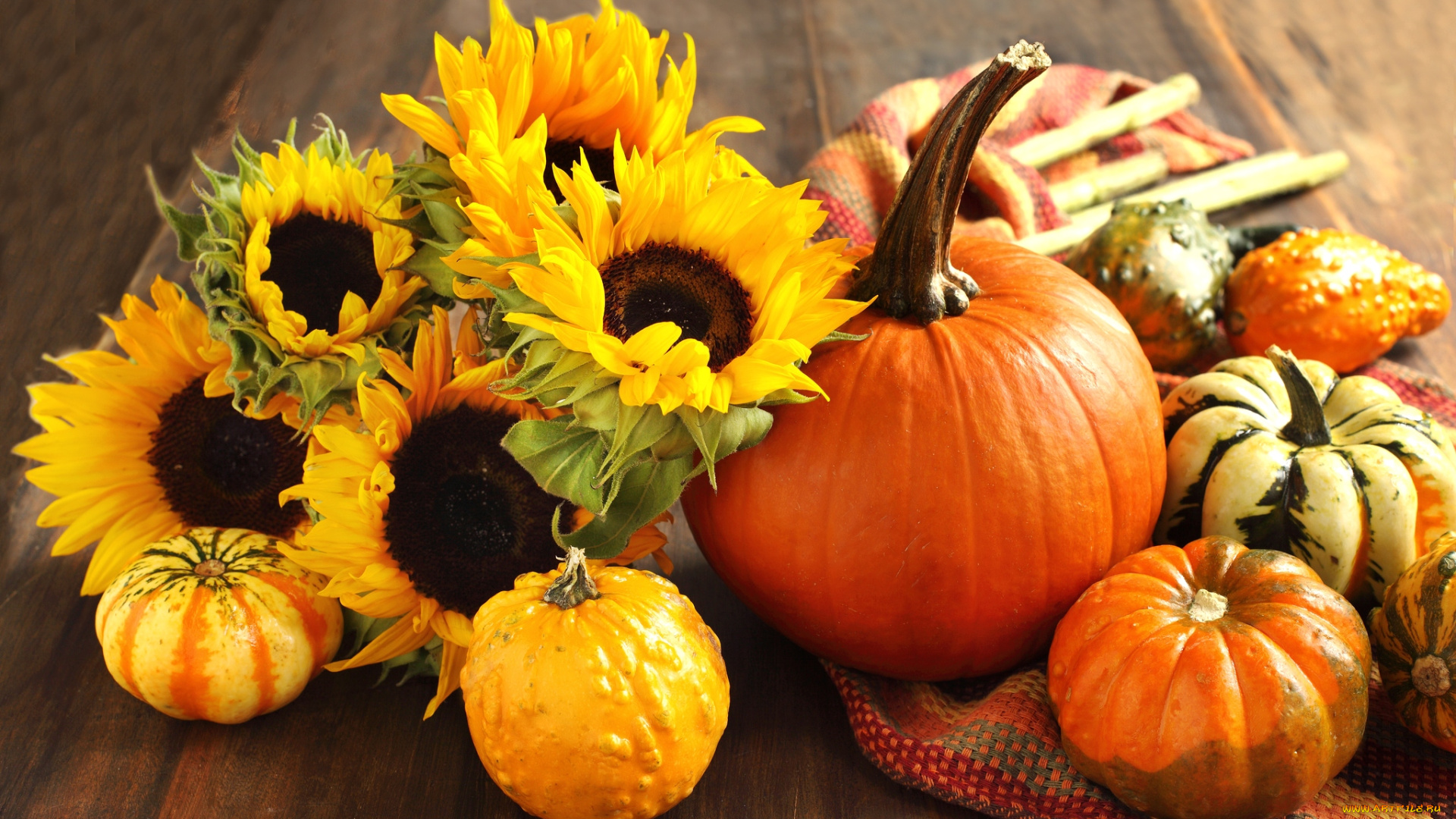 еда, тыква, оранжевый, подсолнухи