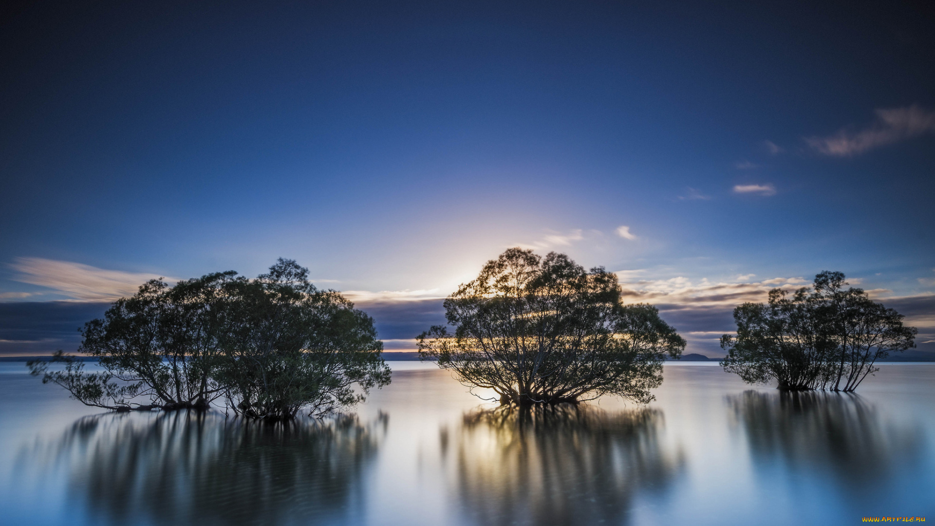 lake, taupo, new, zealand, природа, реки, озера, новая, зеландия, озеро, деревья