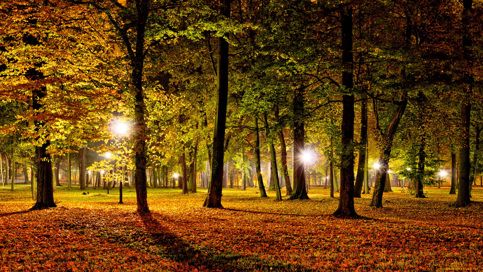 польша, kozuchоw, природа, парк, огни, фонари