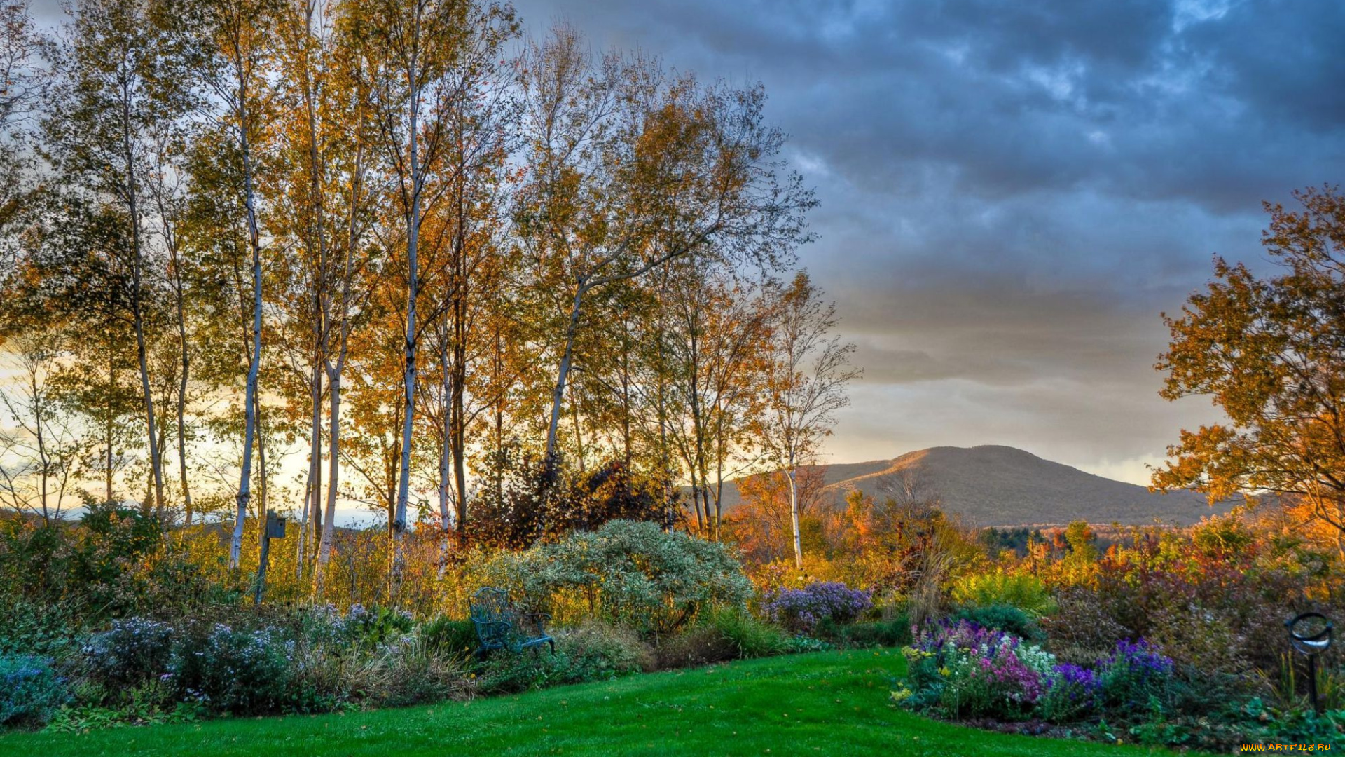 природа, парк, березы, осень