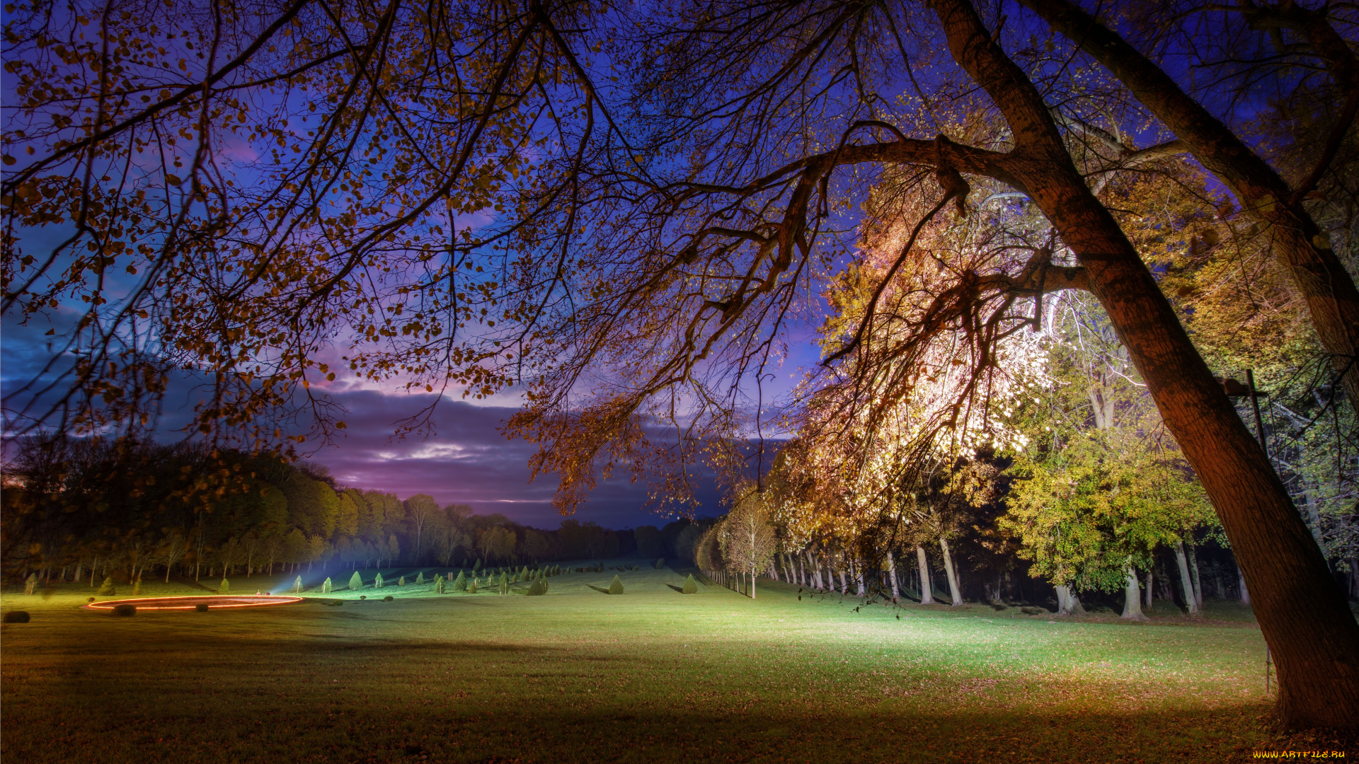 природа, парк, деревья, ночь