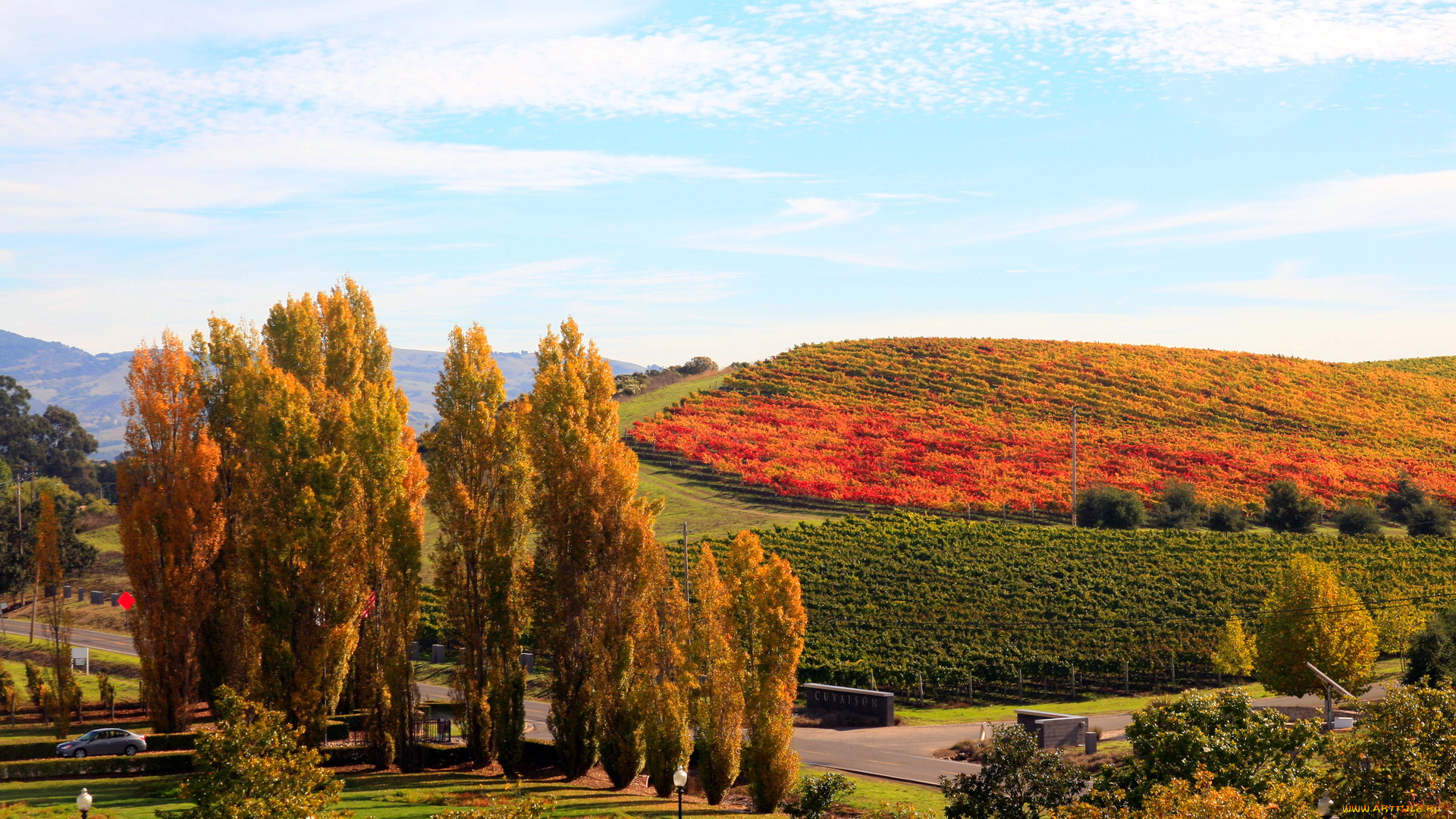 природа, поля, осень