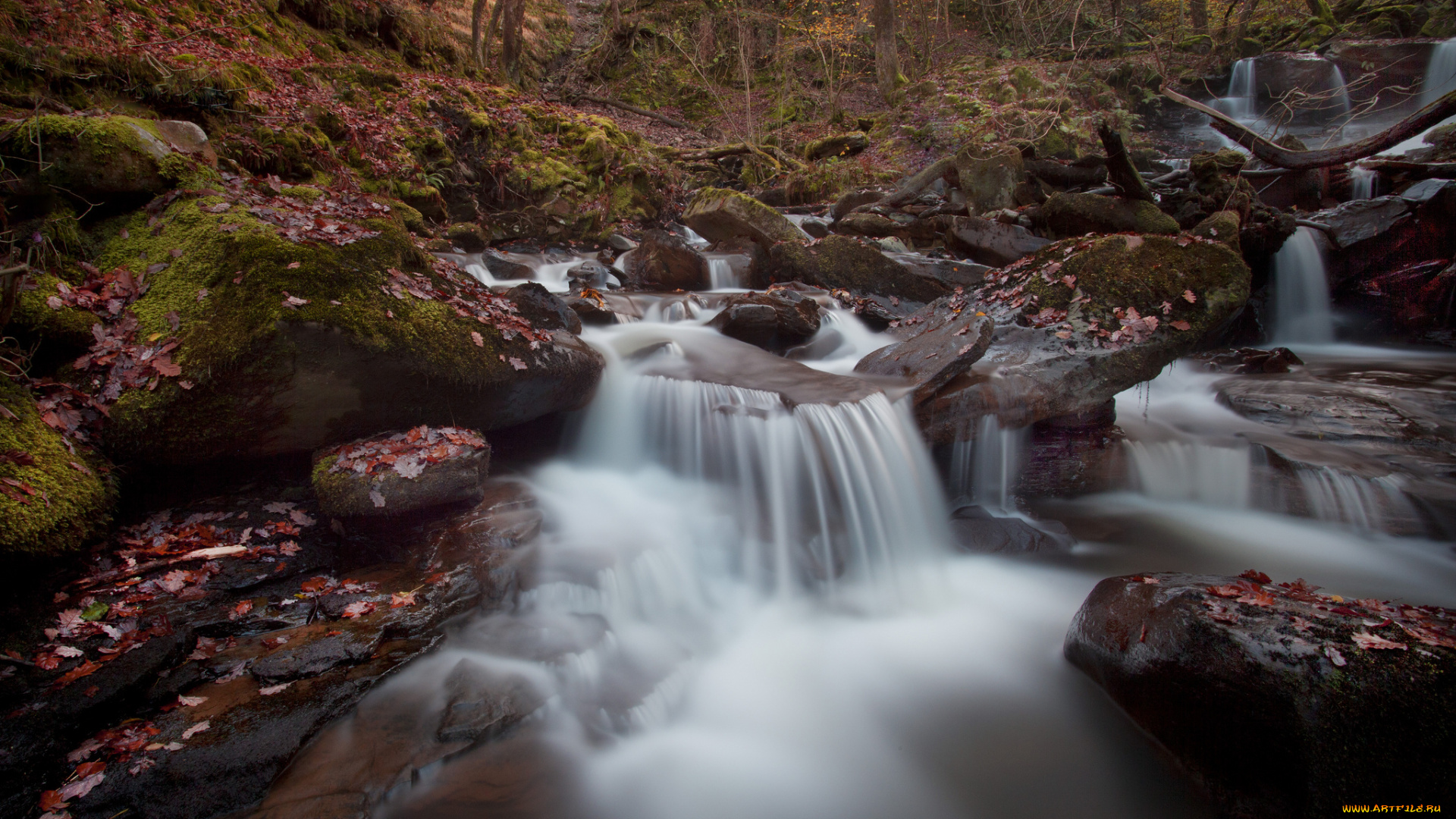 природа, реки, озера, камни, лес, осень, каскад, река
