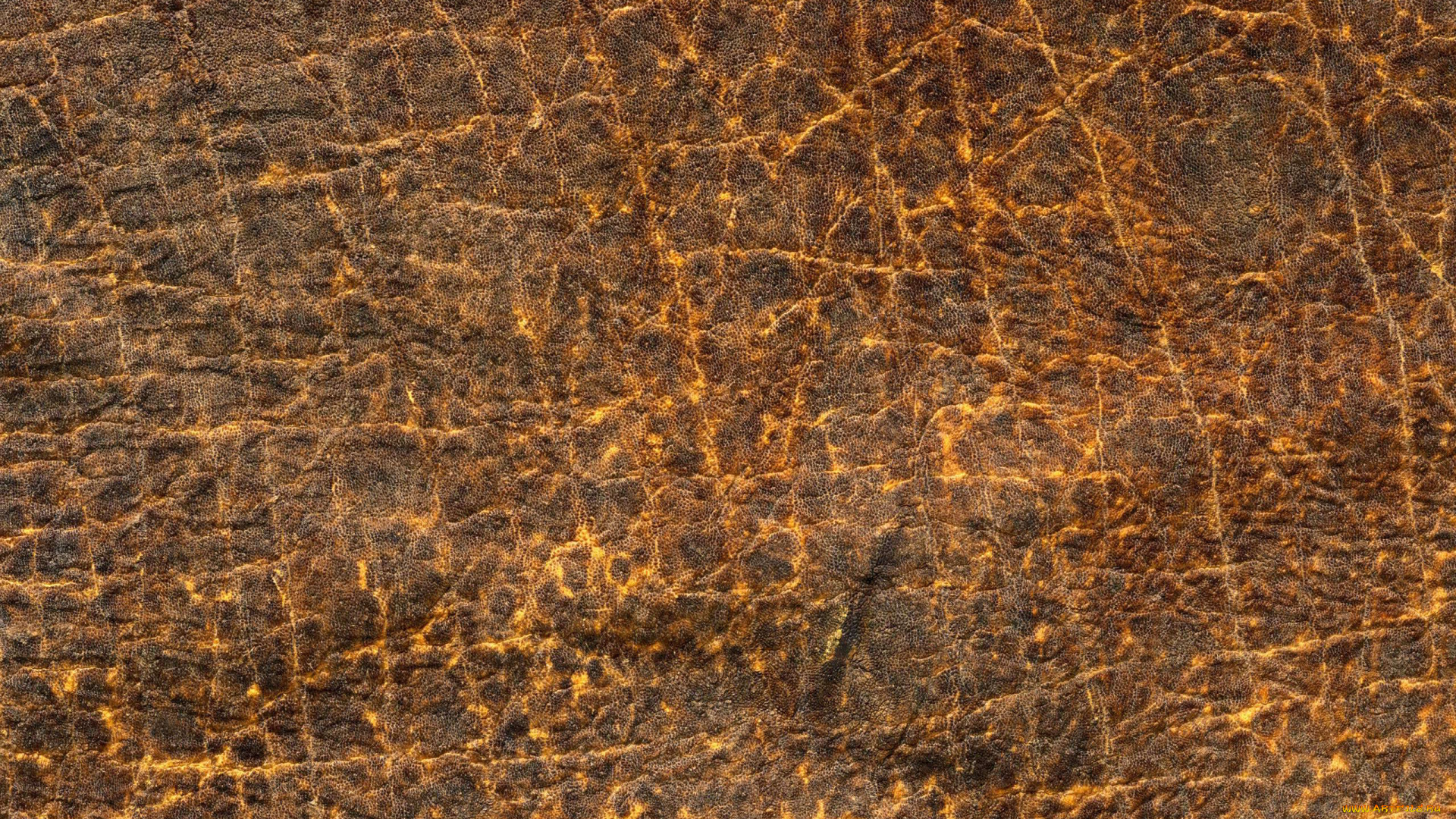 разное, текстуры, кожа, прожилки, выделка, фон