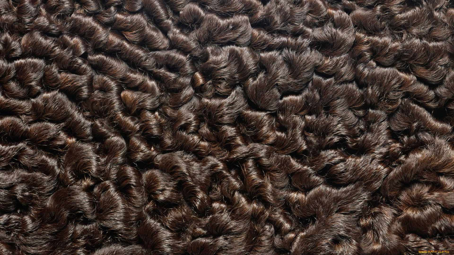 разное, текстуры, мех, фон