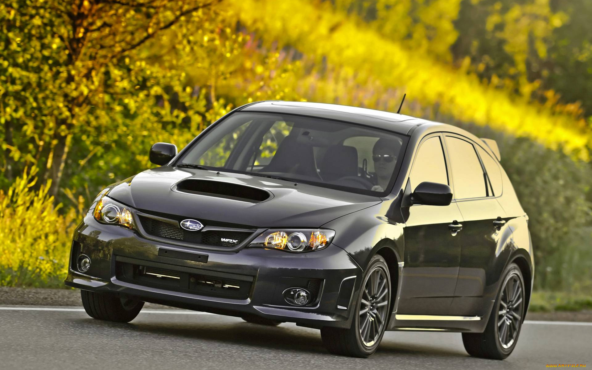 автомобили, subaru