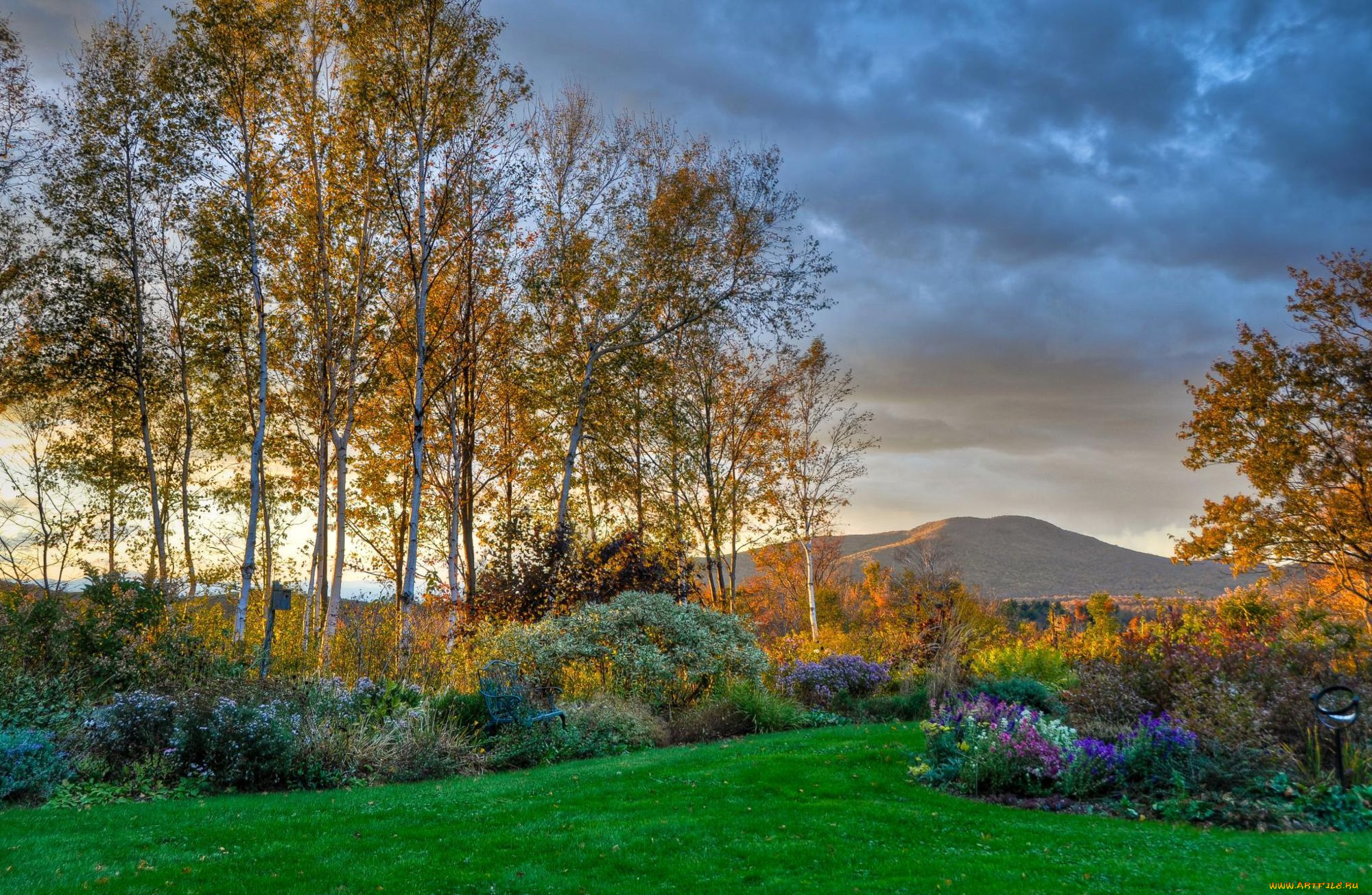 природа, парк, березы, осень