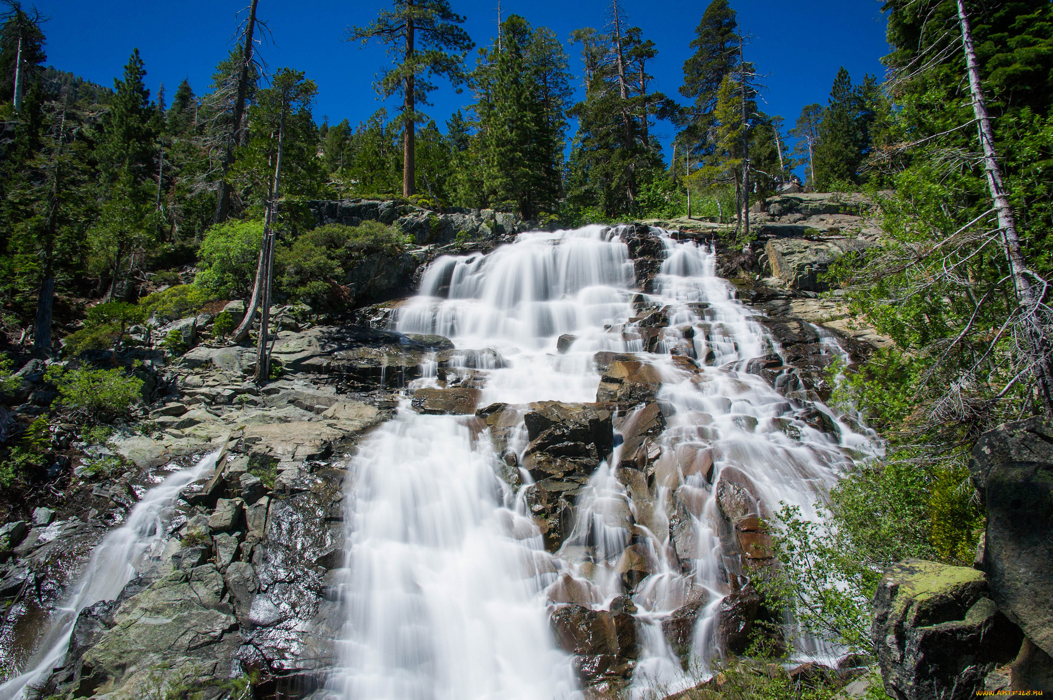 природа, водопады, деревья, скала, лес