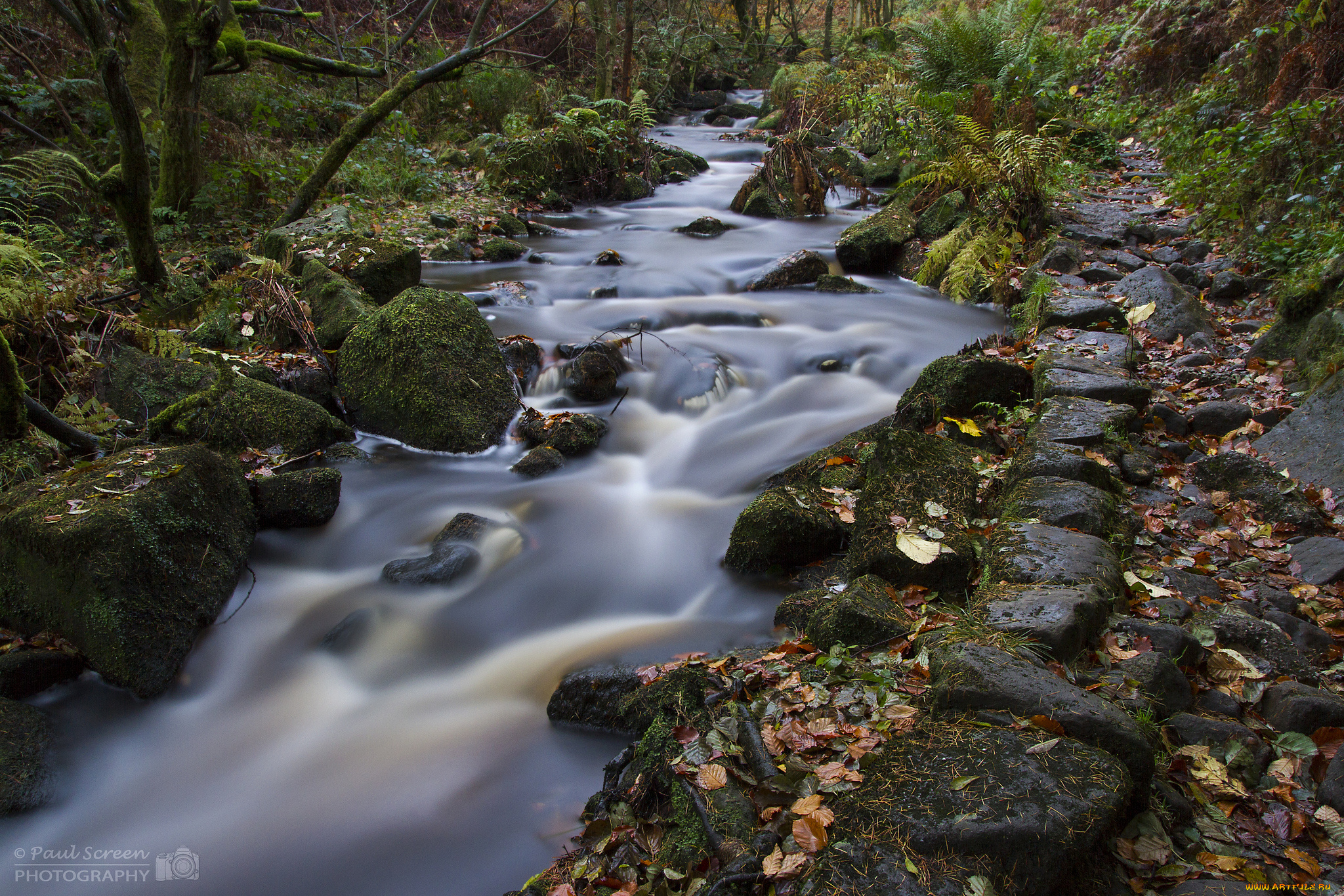 природа, реки, озера, осень, река, лес