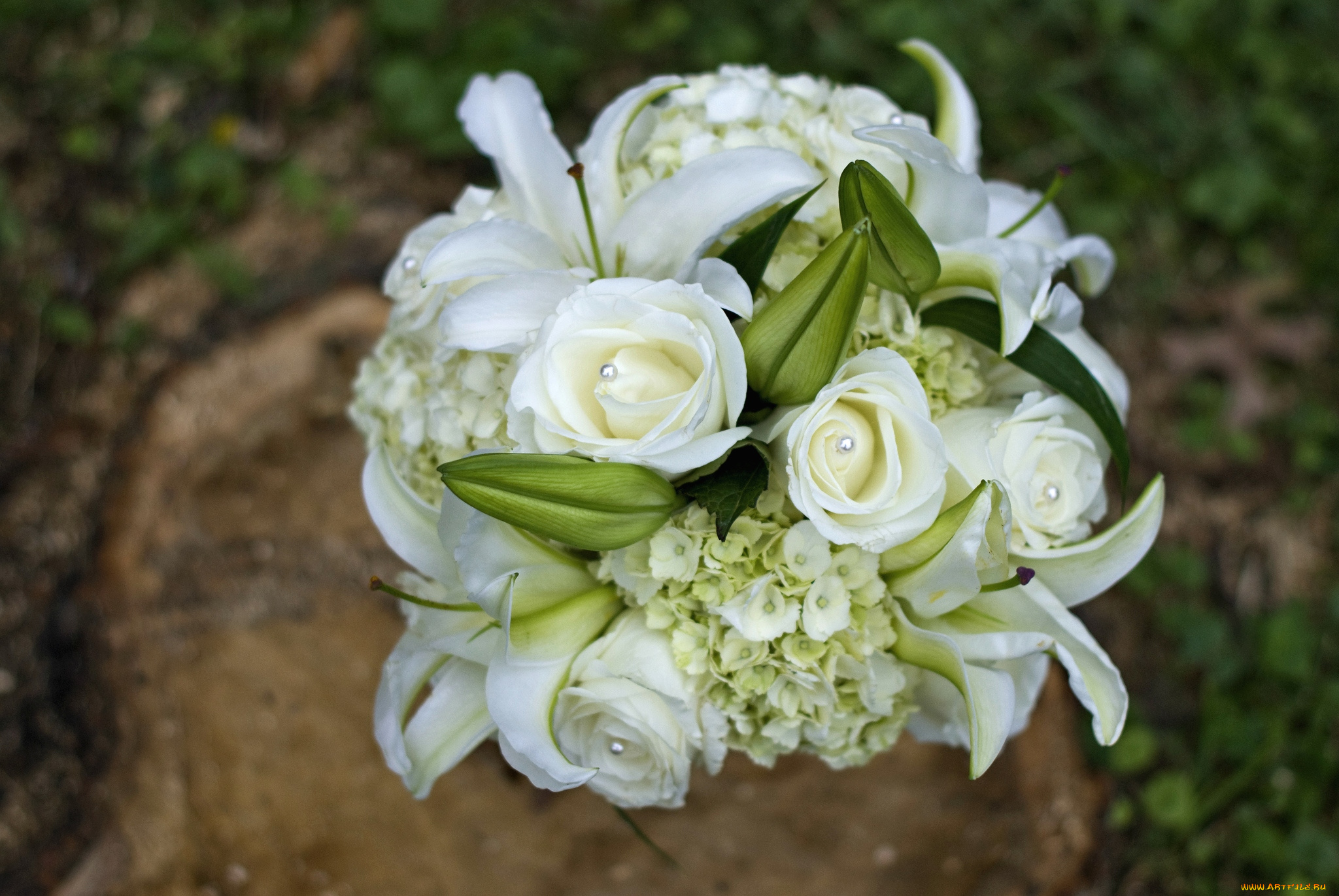 цветы, букеты, композиции, гортензия, лилии, розы