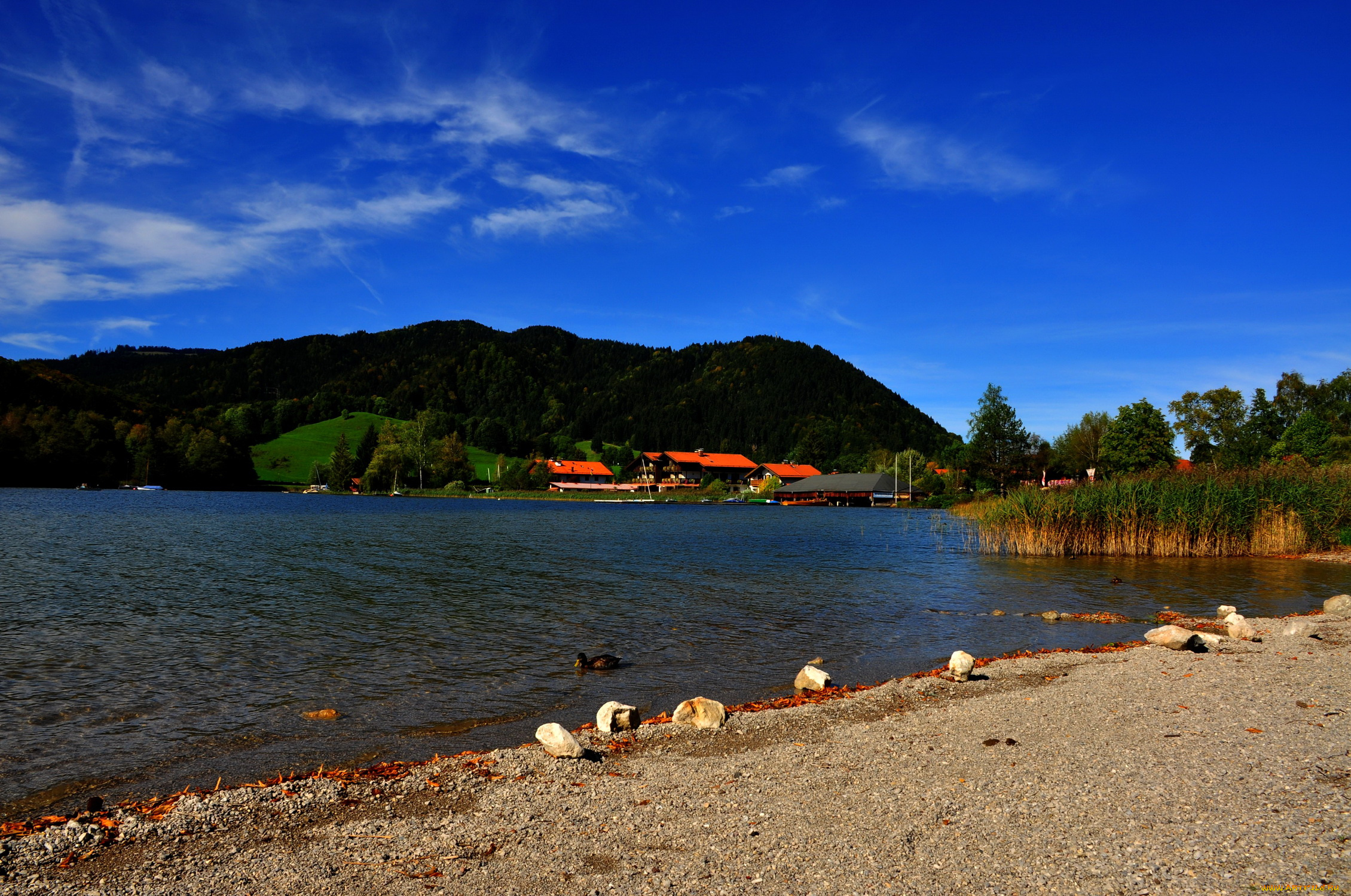 германия, мисбах, природа, реки, озера, река