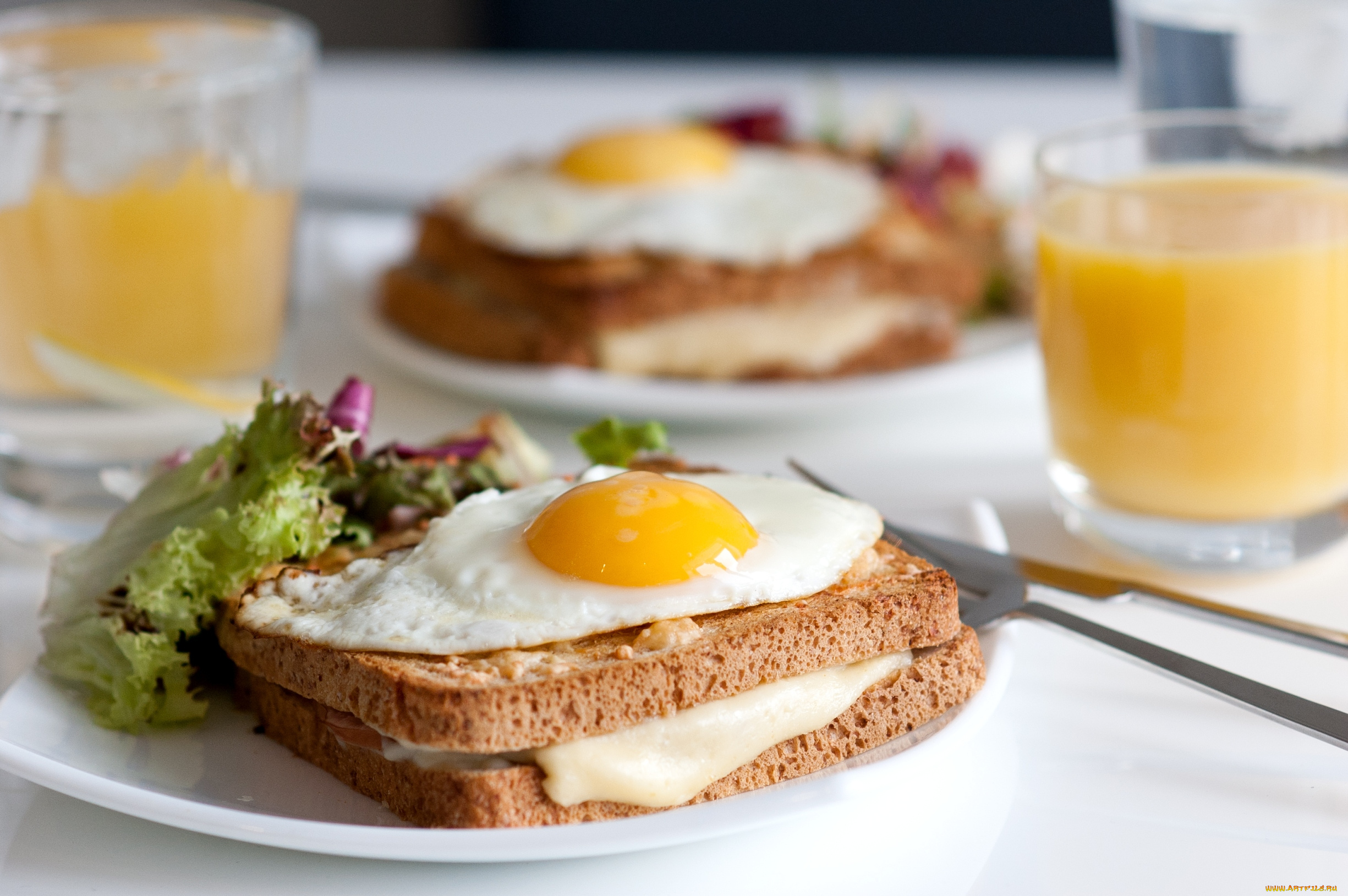 еда, Яичные, блюда, хлеб, яишница