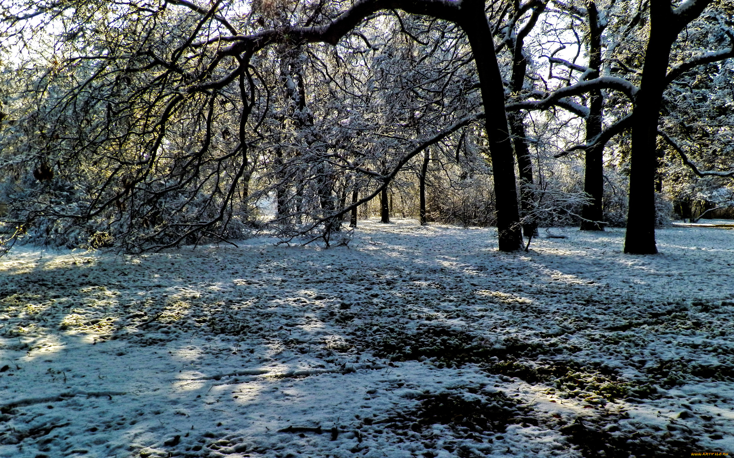 венгрия, пешт, природа, зима, парк