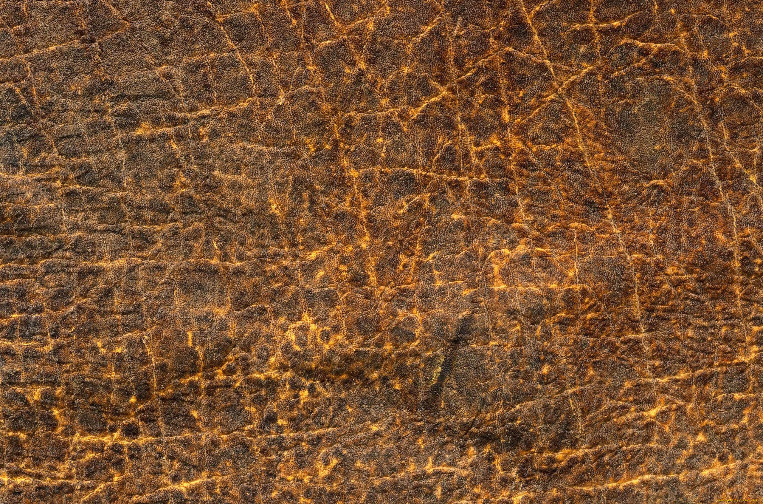 разное, текстуры, кожа, прожилки, выделка, фон