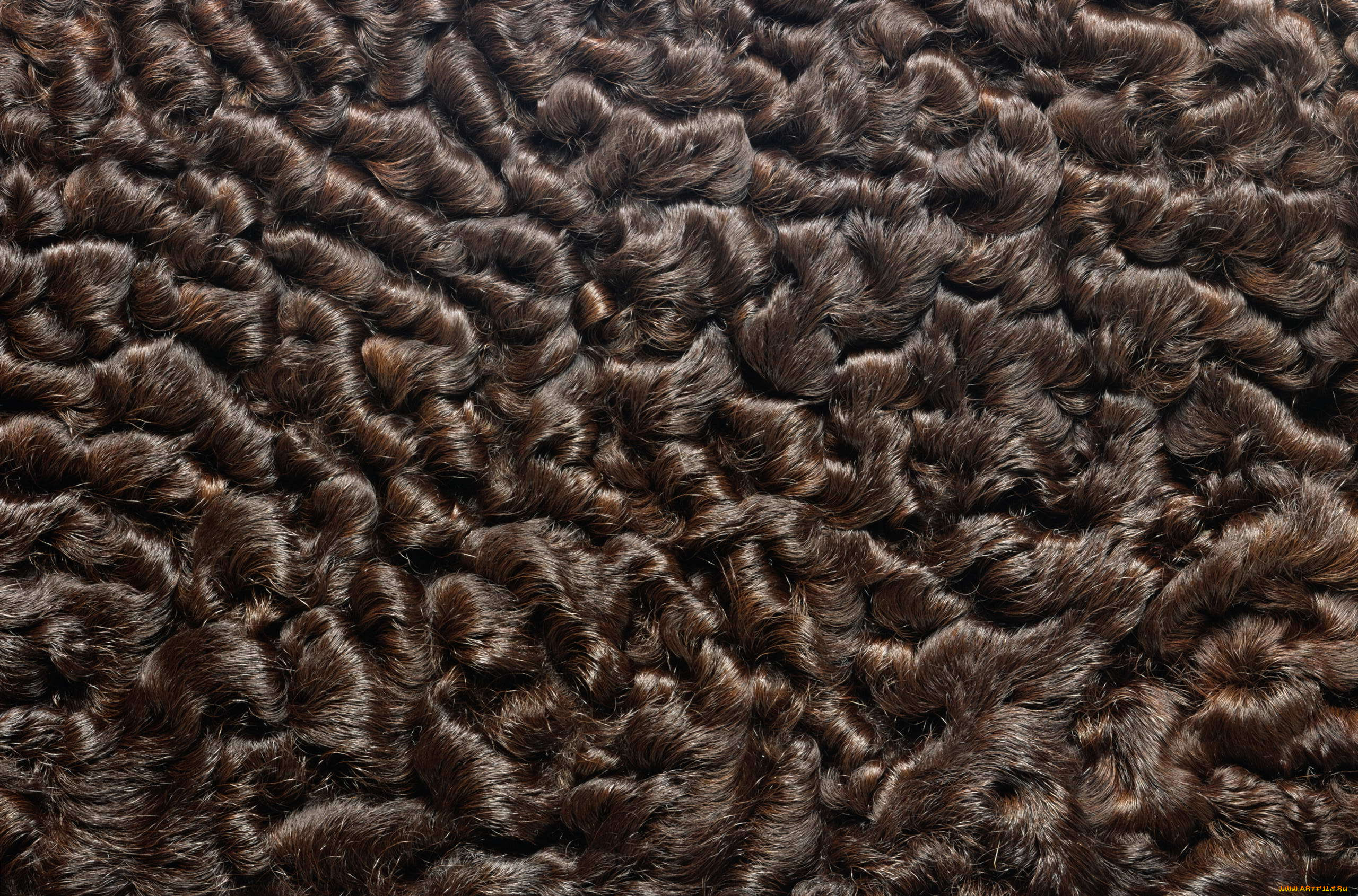 разное, текстуры, мех, фон