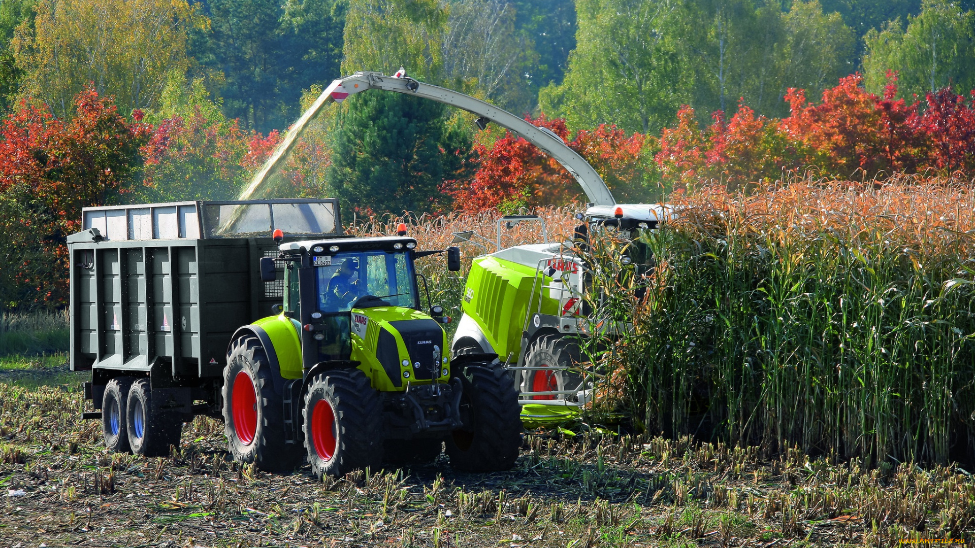 техника, тракторы, уборочная, прицеп, трактор, комбайн, кукуруза, поле