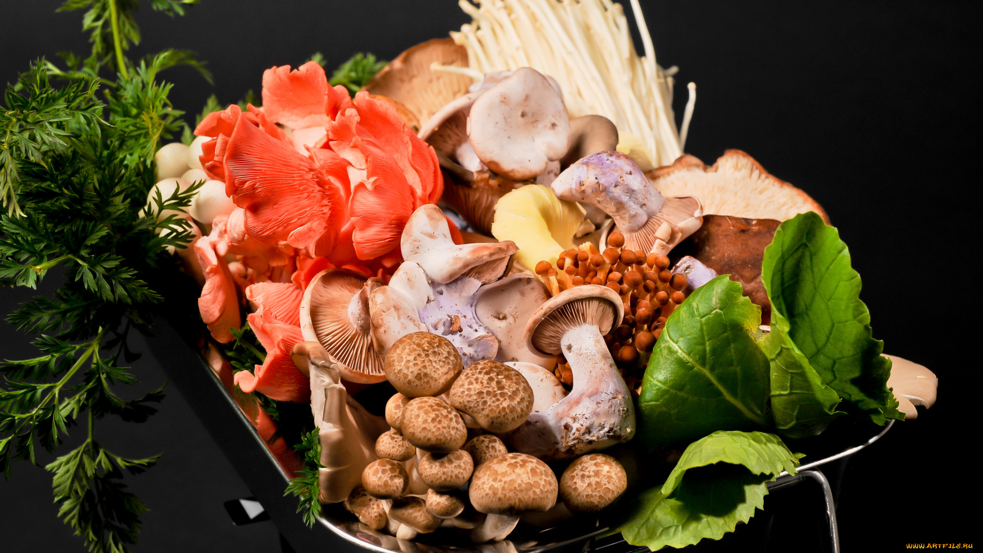 еда, грибы, , грибные, блюда