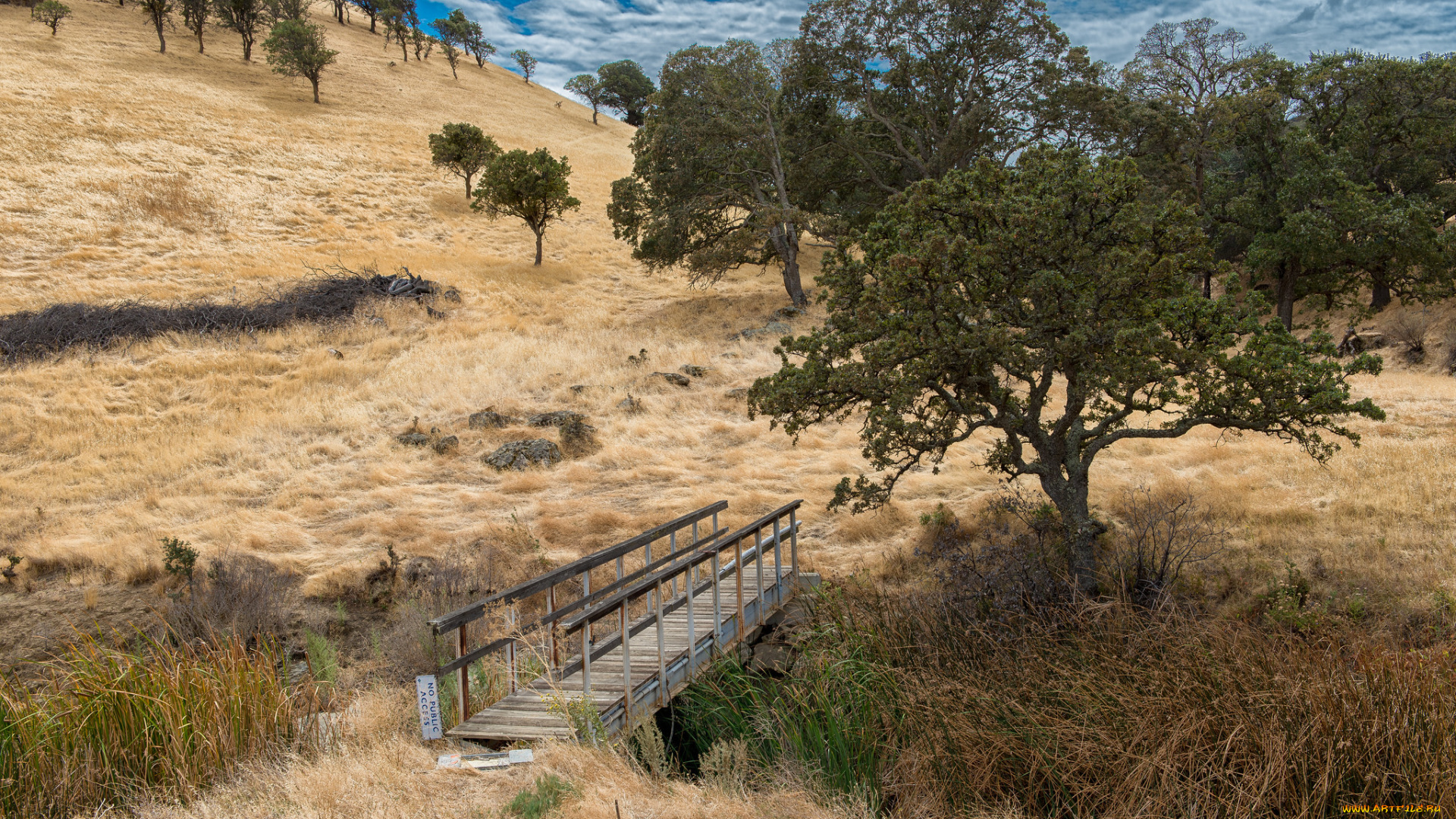 природа, дороги, мостик, тропинка