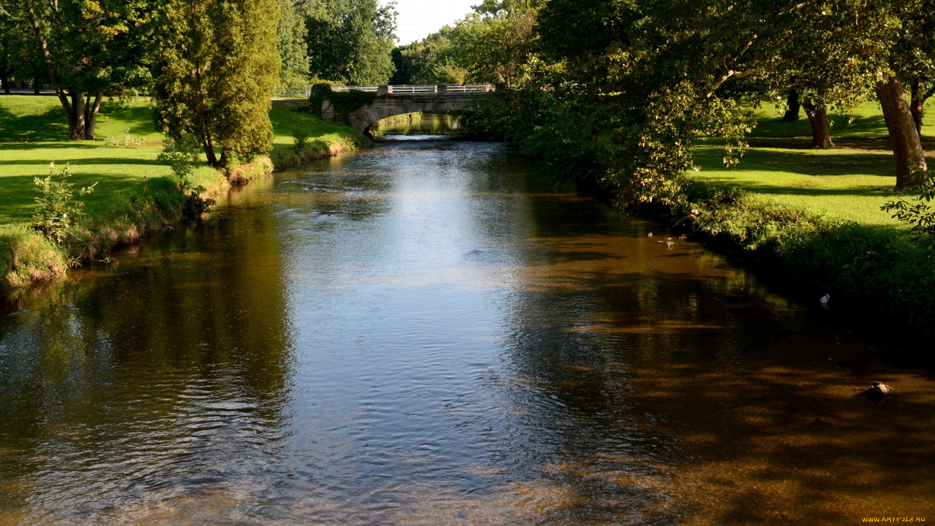 природа, реки, озера, деревья, вода, мостик