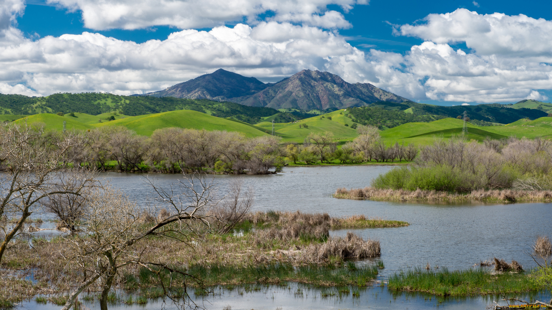 природа, реки, озера, лес, река