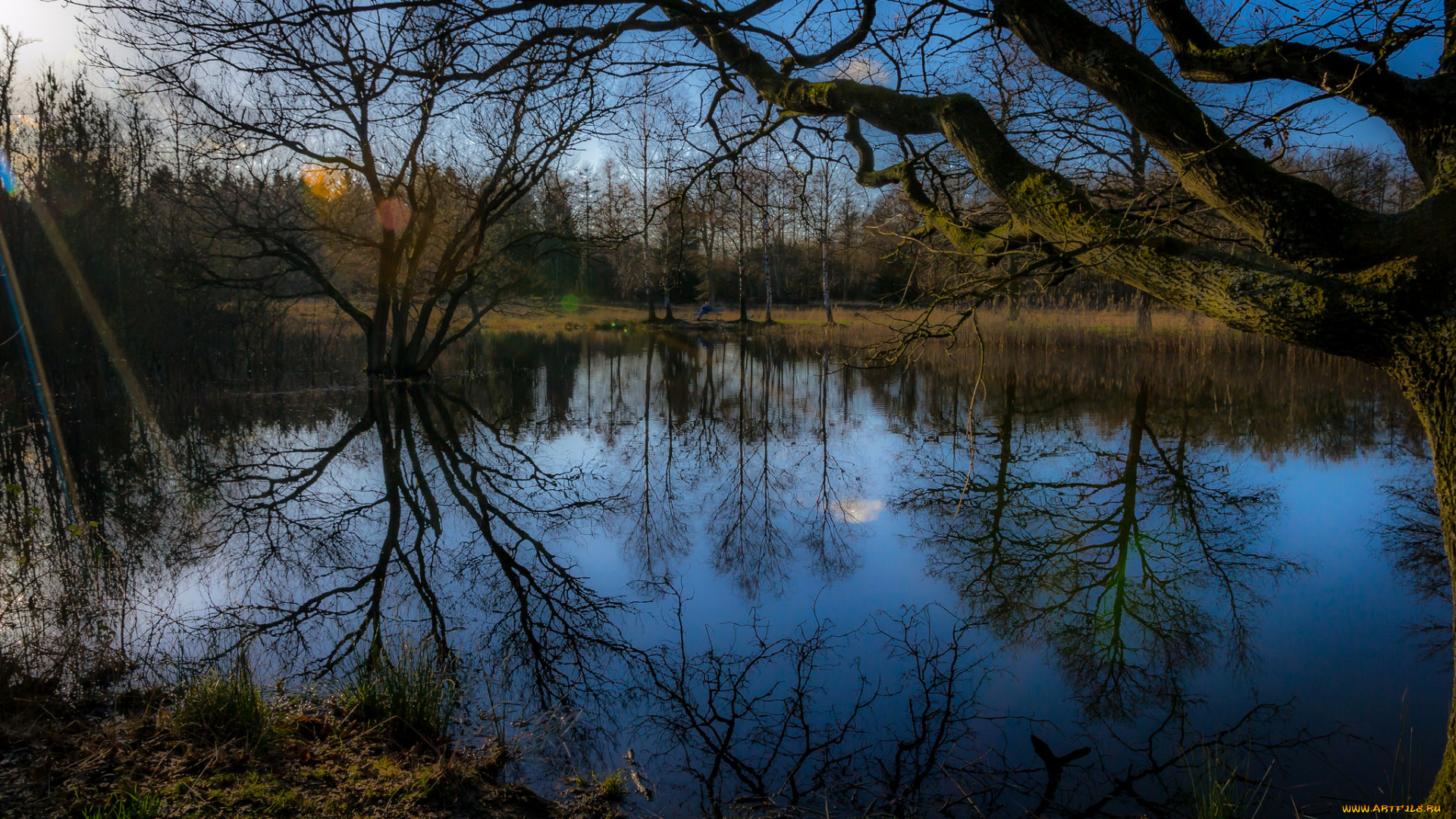 природа, реки, озера, озеро, лес