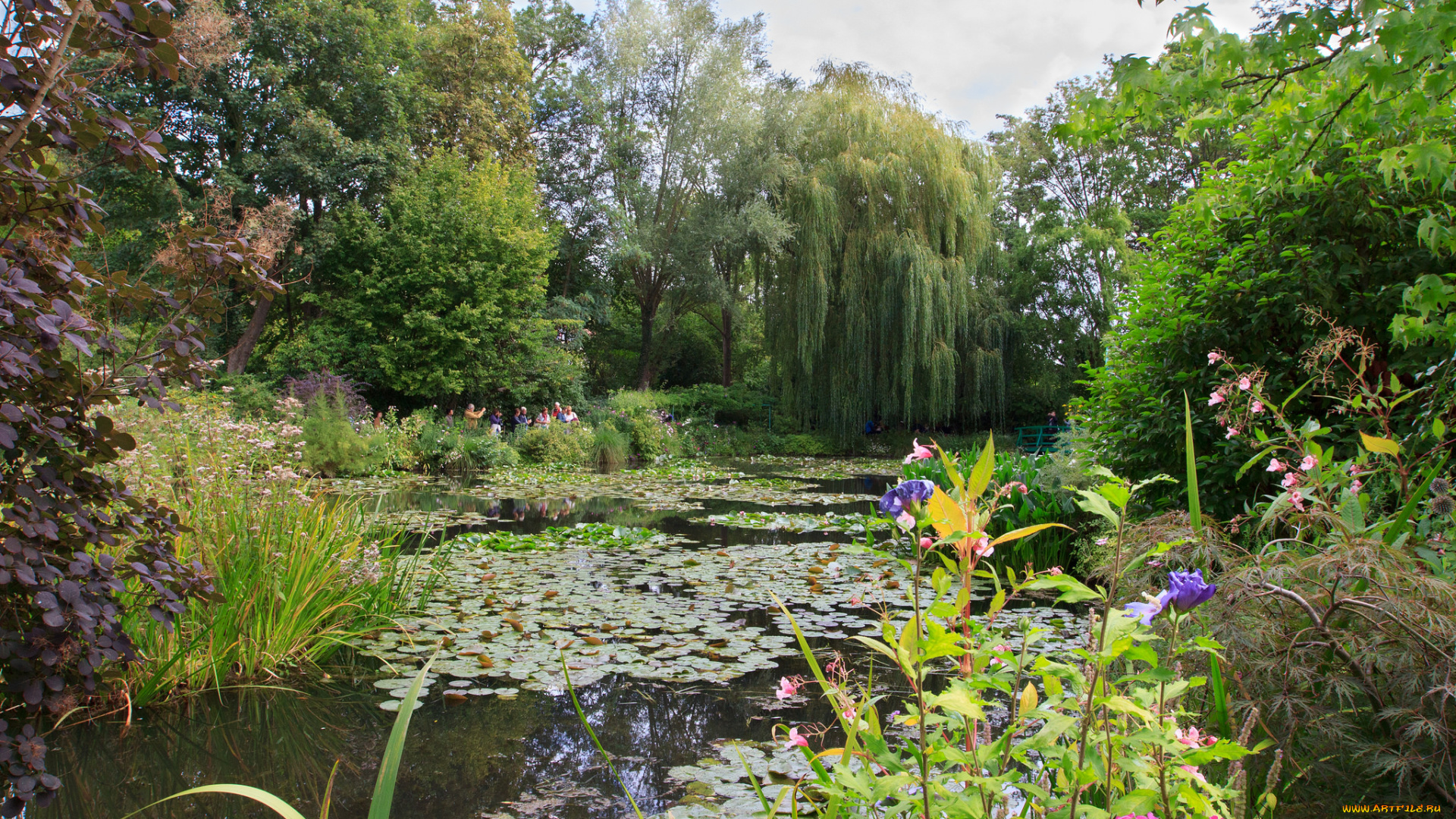 природа, реки, озера, река, лес