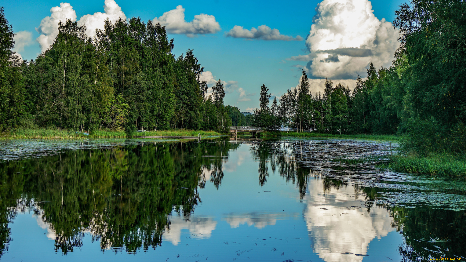 природа, реки, озера, река, лес