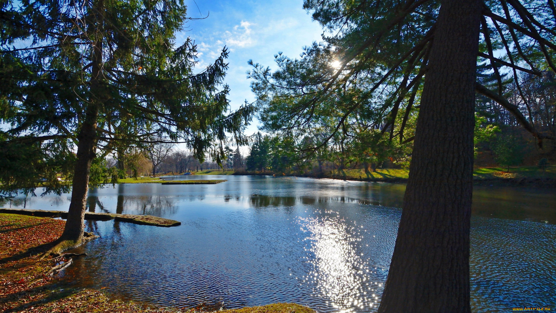 природа, реки, озера, сосны