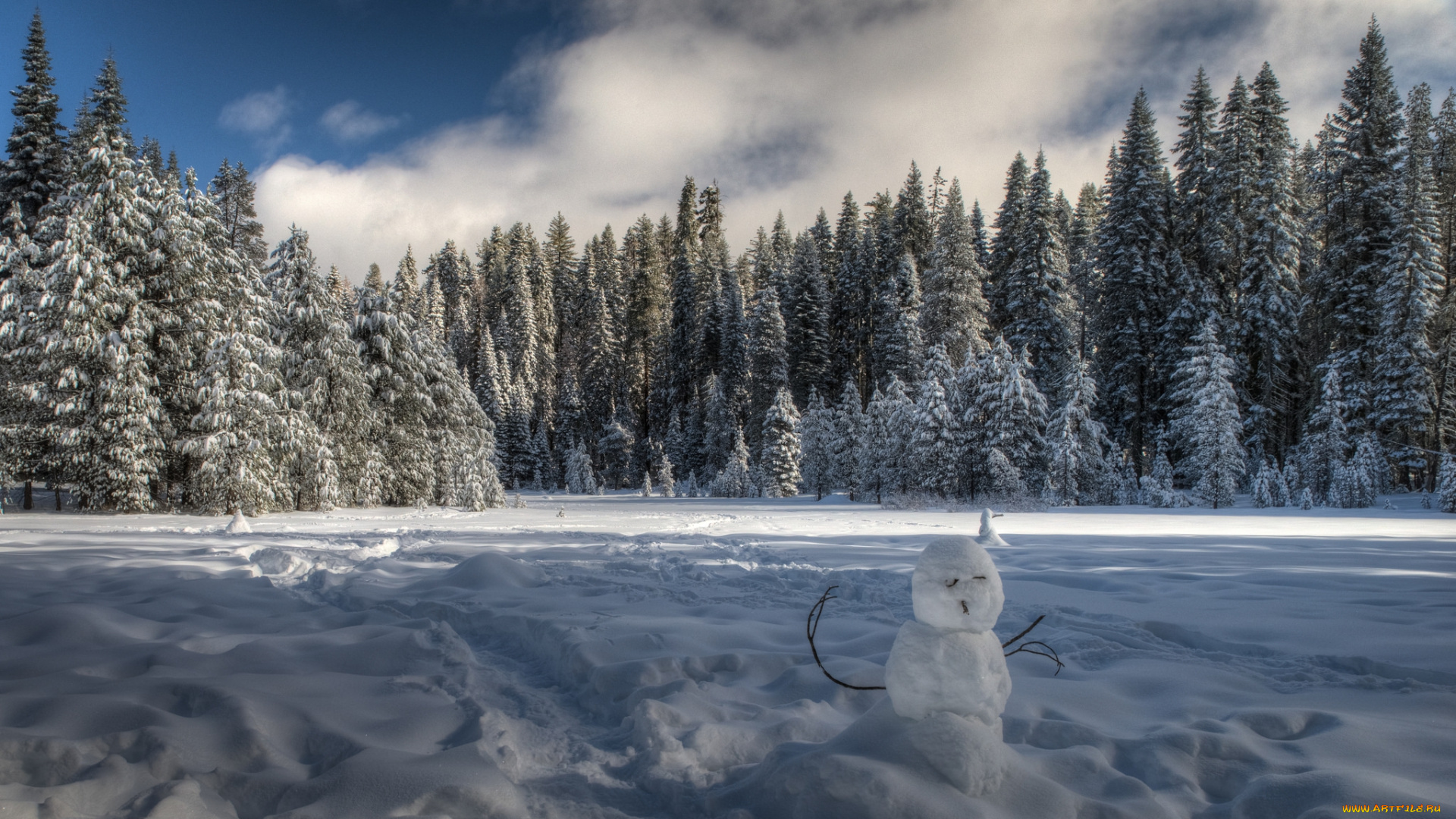 природа, зима, снег, ели