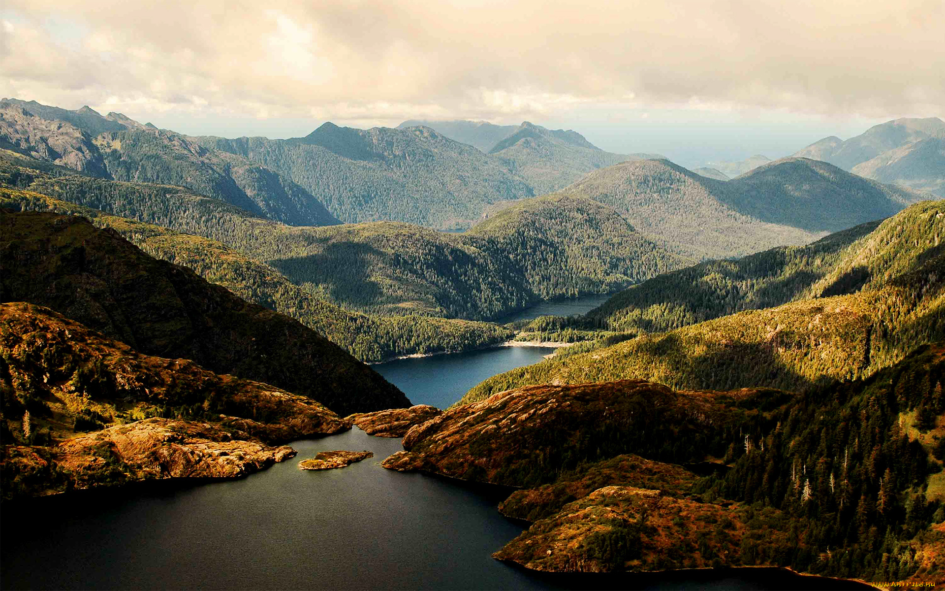 charlotte, island, природа, пейзажи