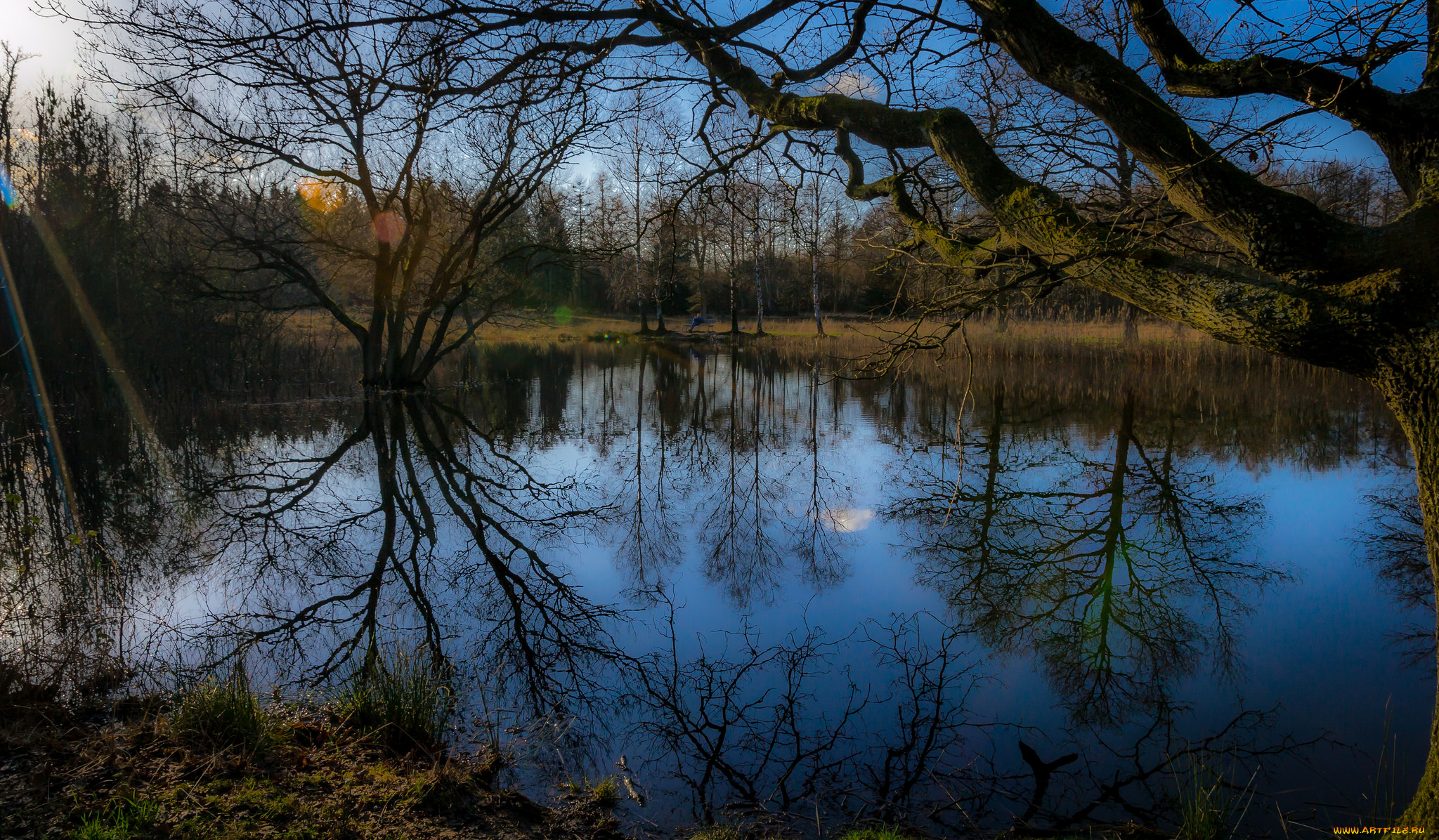 природа, реки, озера, озеро, лес