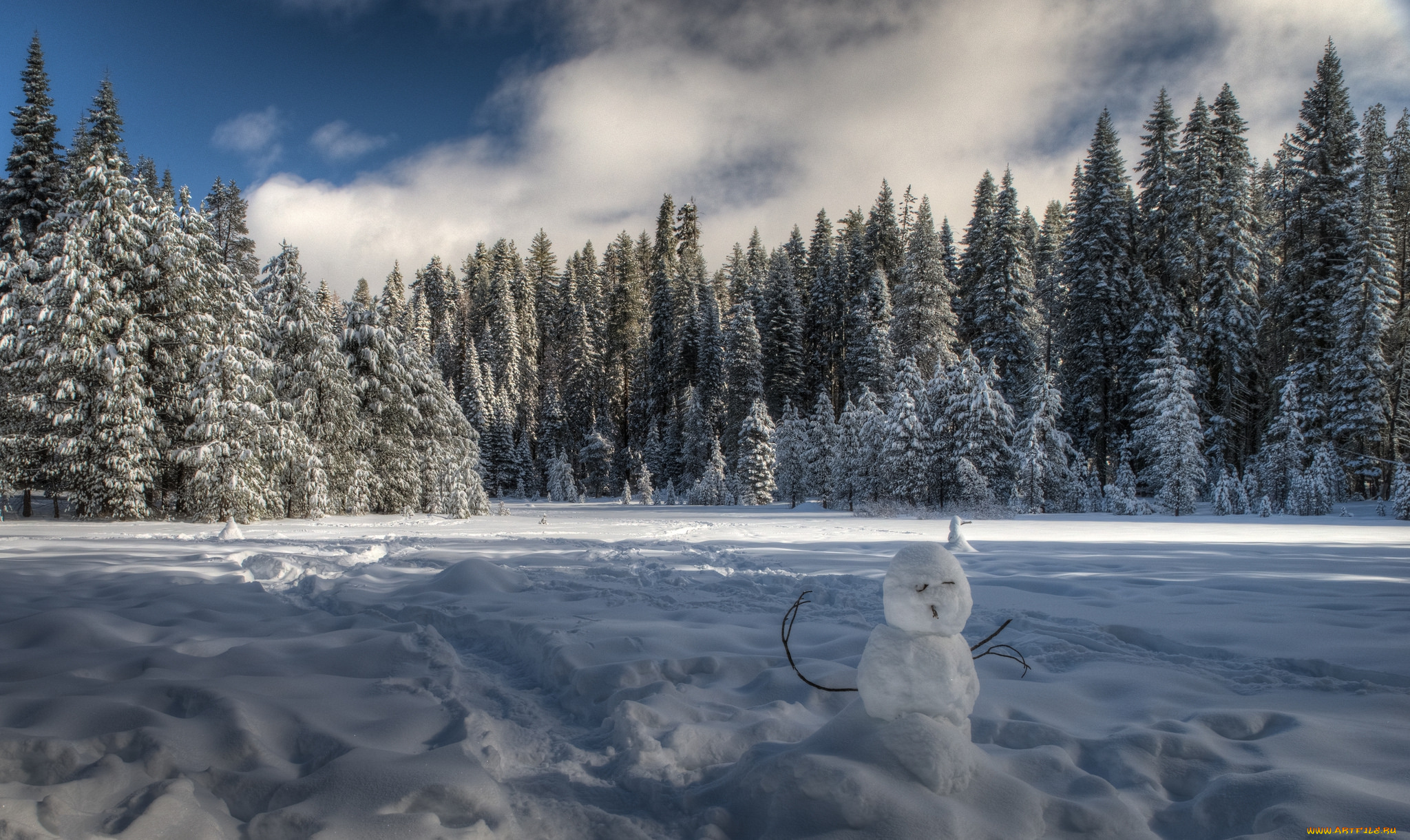 природа, зима, снег, ели