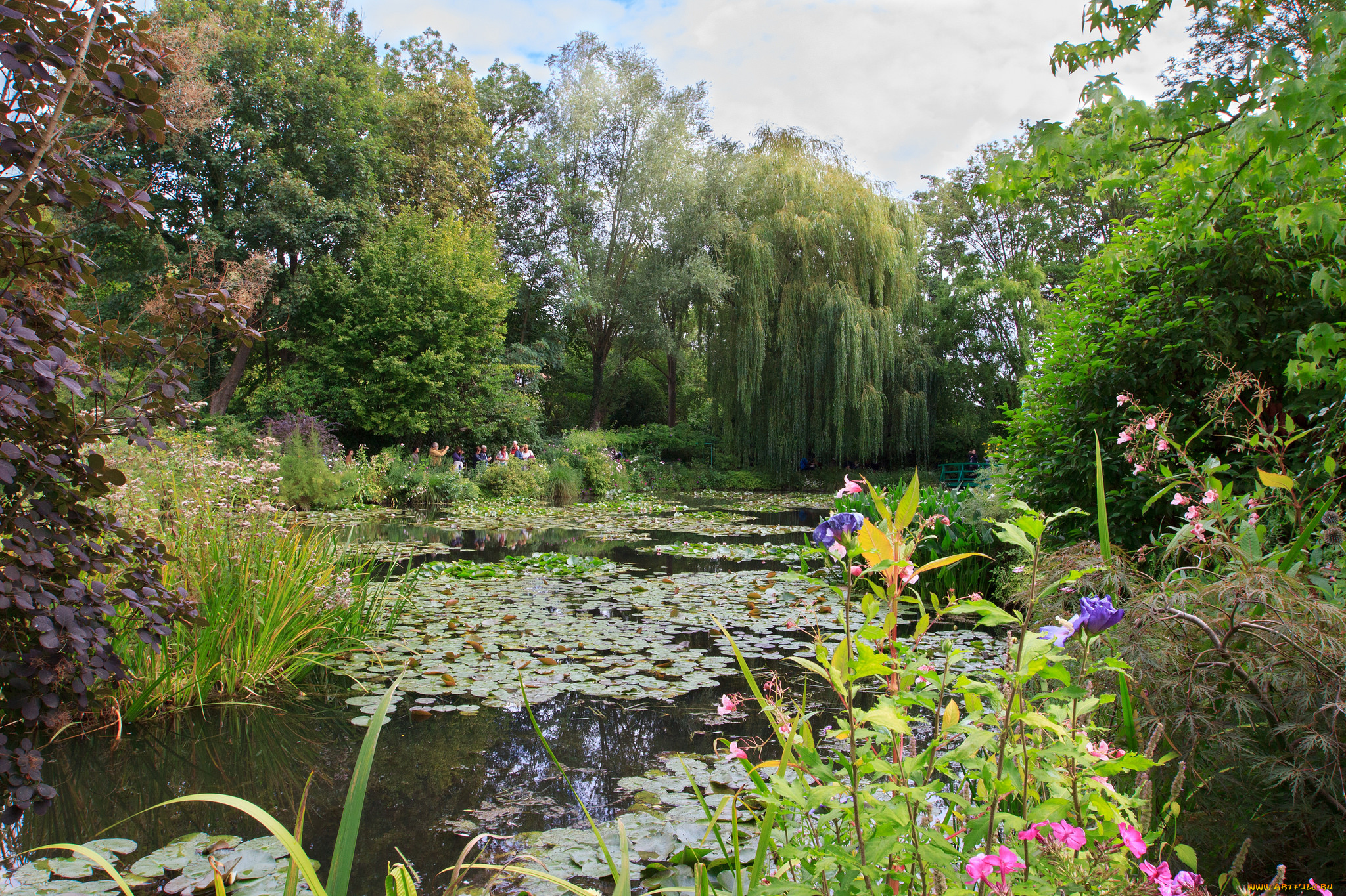 природа, реки, озера, река, лес