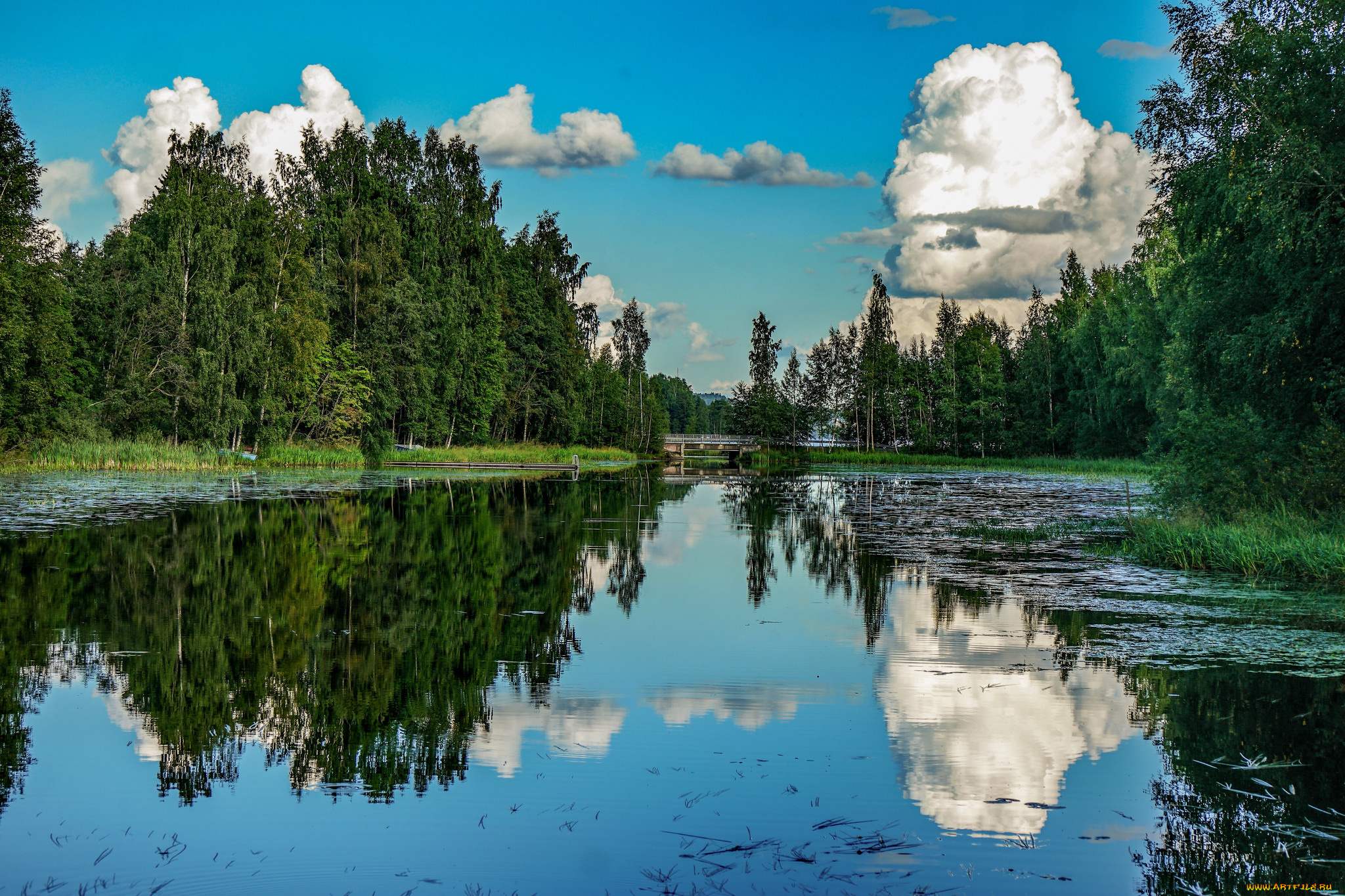 природа, реки, озера, река, лес