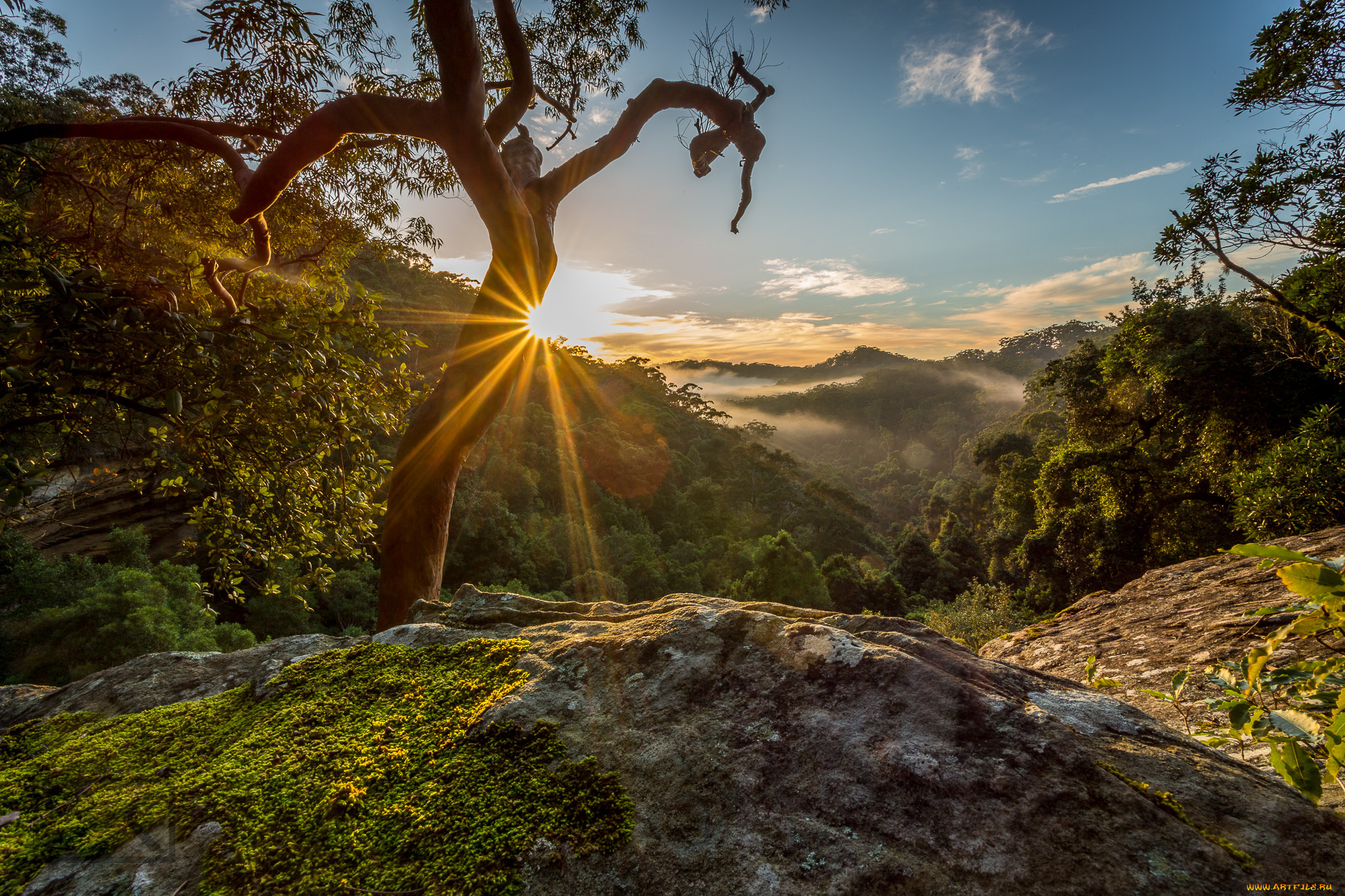 природа, восходы, закаты, рассвет