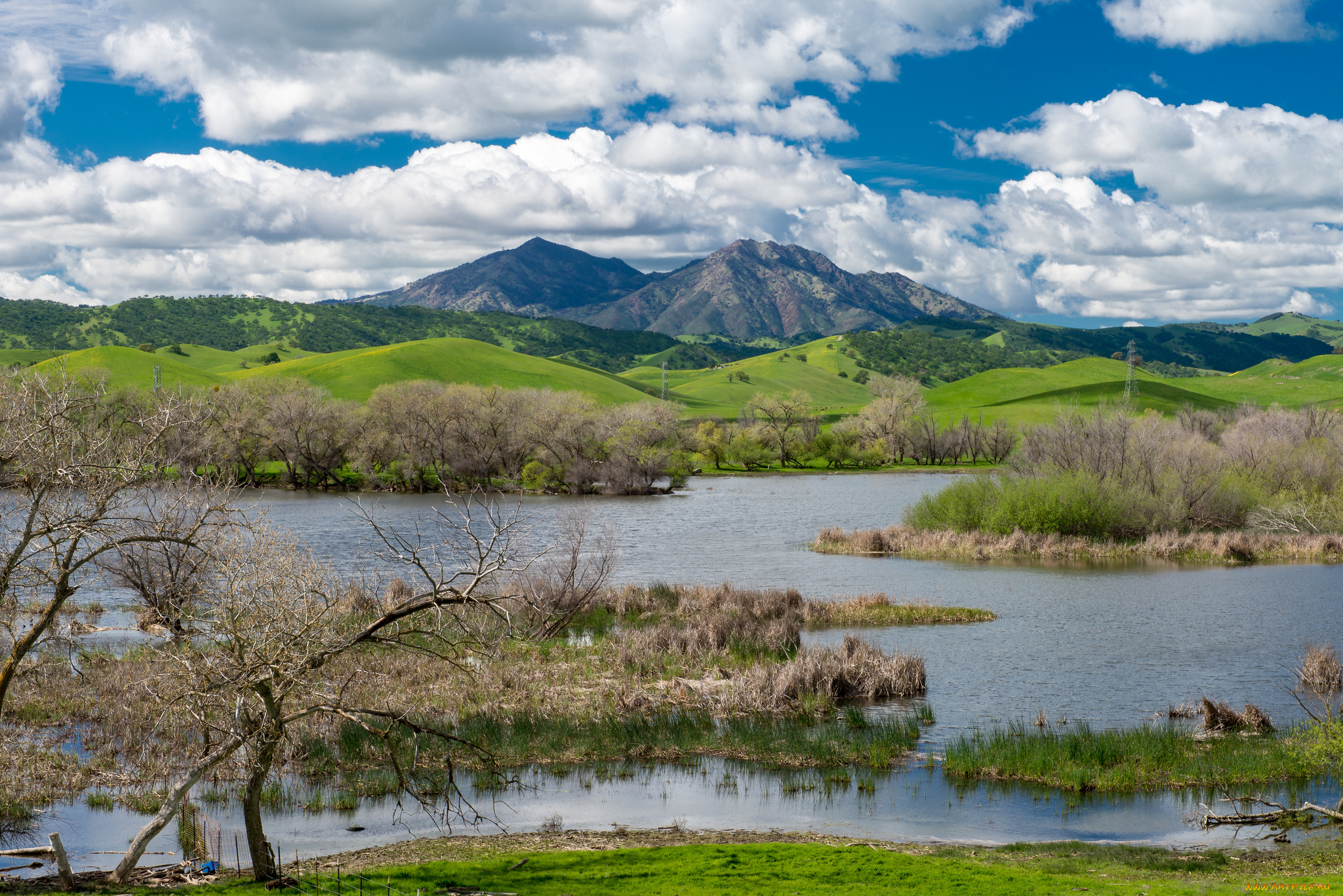 природа, реки, озера, лес, река