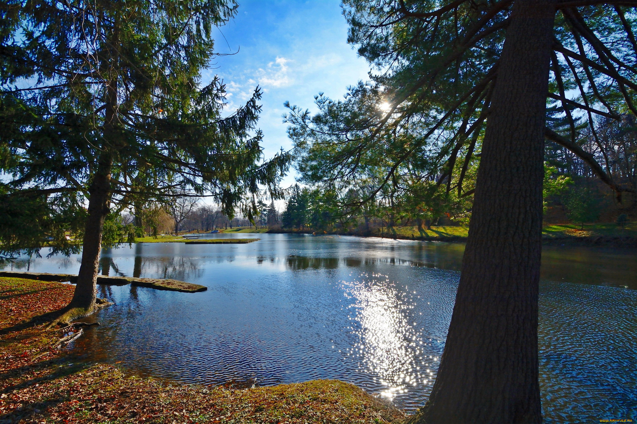 природа, реки, озера, сосны