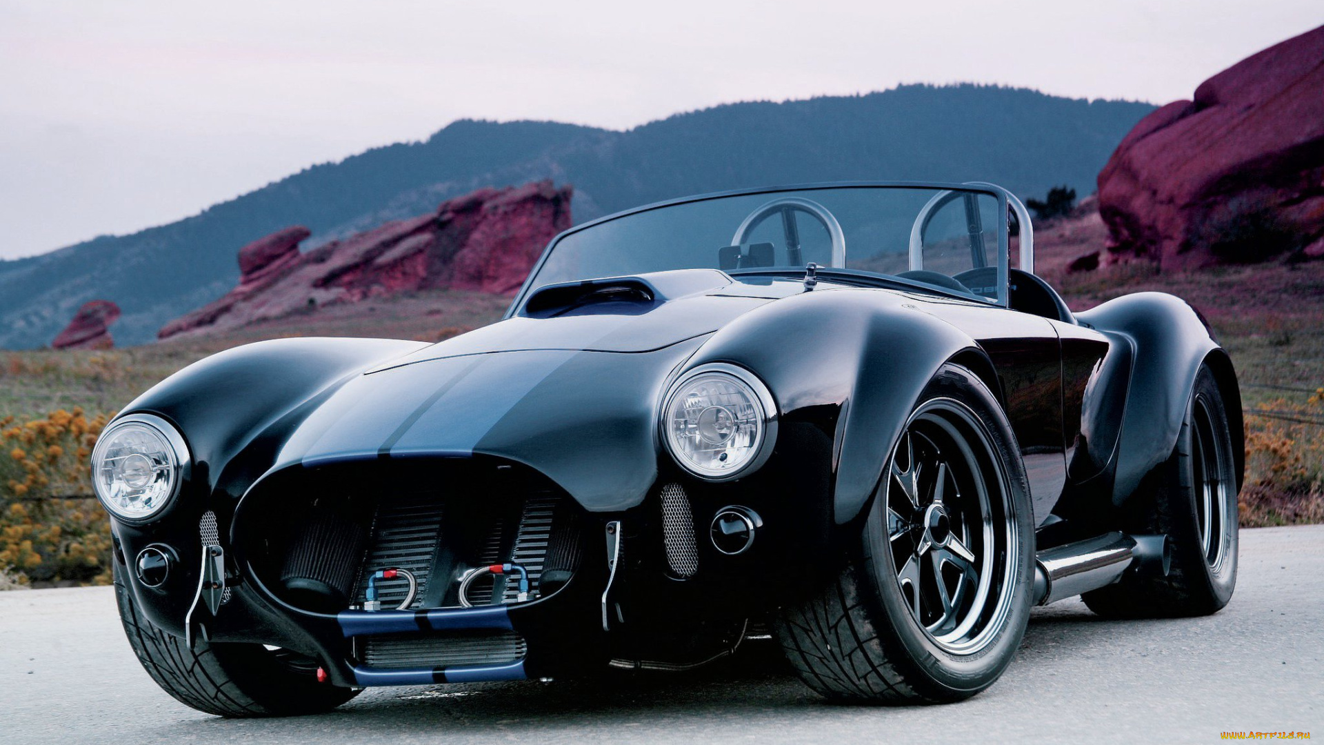 автомобили, ac, cobra, shelby, cobra