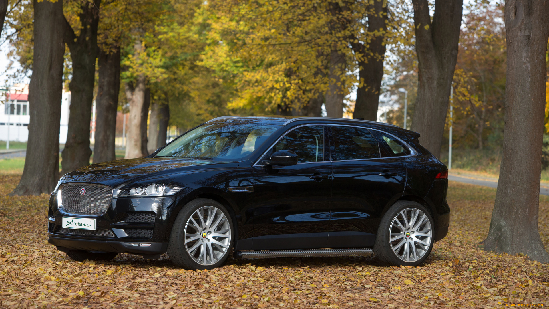 автомобили, jaguar