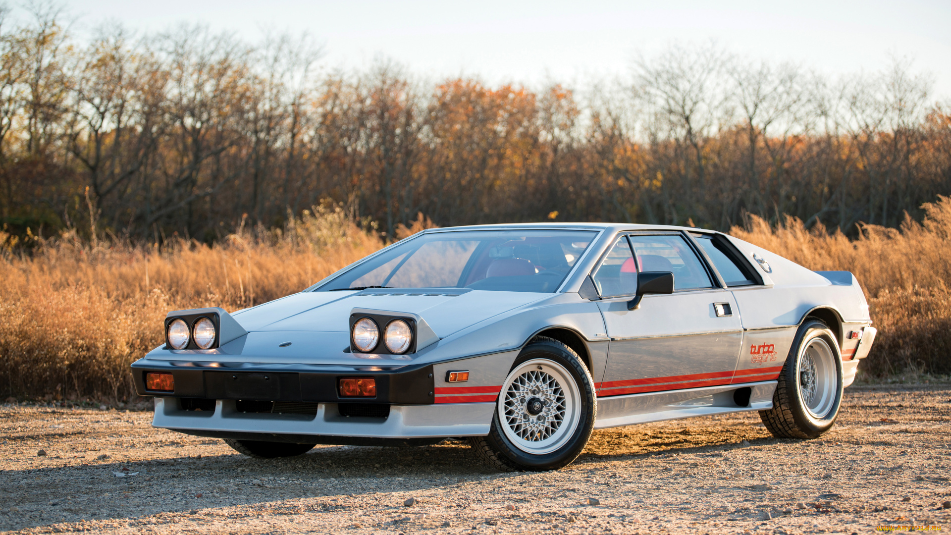 автомобили, lotus