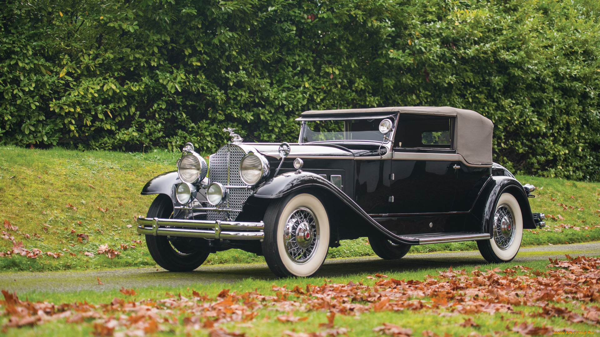 автомобили, packard