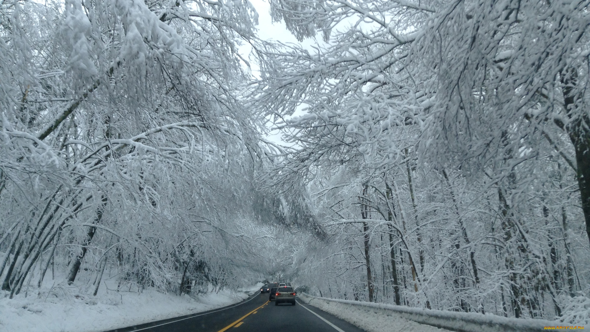 природа, дороги, снег, деревья, дорога