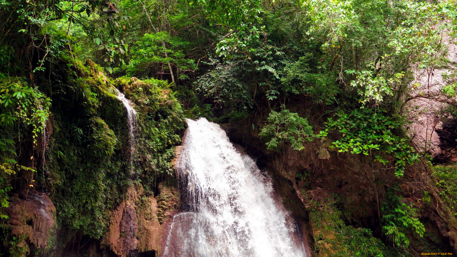 природа, водопады, кусты, поток